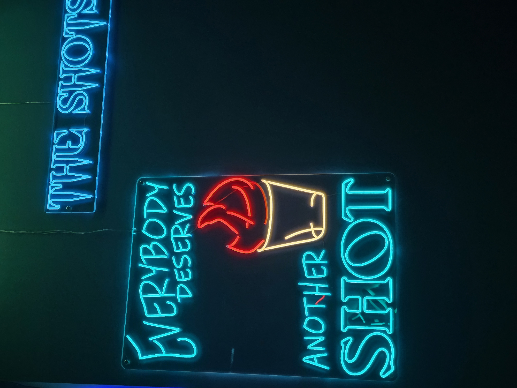 The image shows two illuminated neon signs against a dark background. One sign reads "THE SHOTS" in vertical alignment. The second sign, also vertically oriented, says "EVERYBODY DESERVES" above a stylized neon graphic of a shot glass and then continues with "ANOTHER SHOT". The location is not identifiable from the image alone.