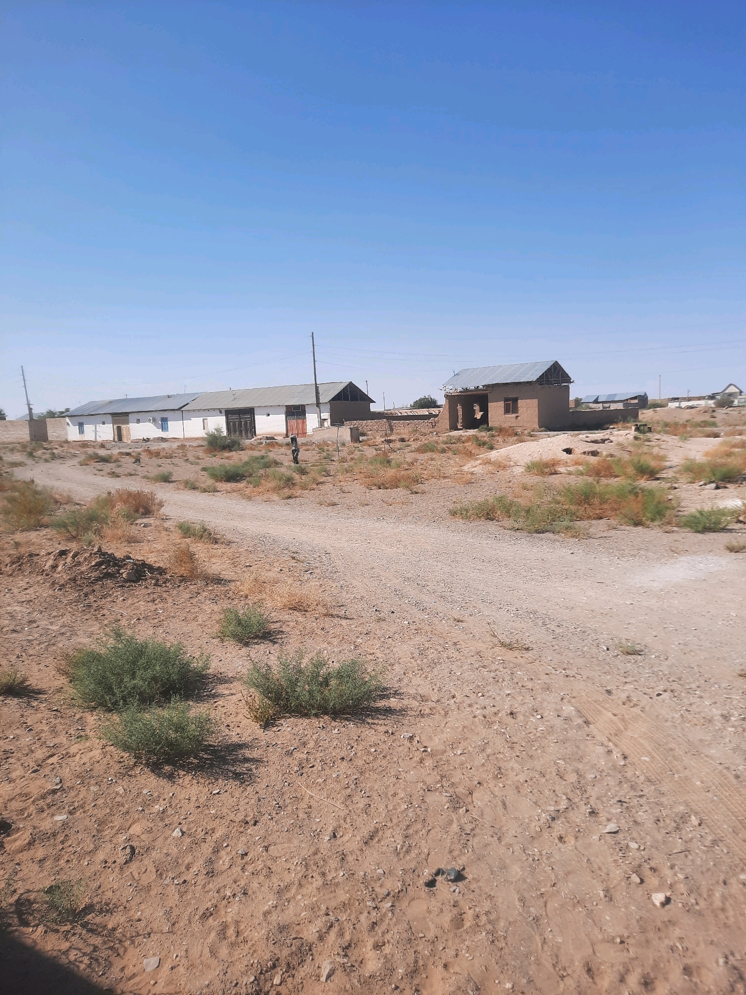 The image shows a rural landscape under a clear blue sky. In the foreground, a dirt road winds through a dry, sandy terrain dotted with sparse green shrubs and dry vegetation. In the mid-ground, several structures are visible. On the left, a long, white building with a metal roof has multiple doors and windows. To its right, a smaller, partially collapsed brick structure with a metal roof stands prominently. Further to the right, other buildings and the remains of structures are scattered across the arid landscape. A single utility pole is visible on the right side of the image. The overall impression is of a desolate, undeveloped area. This scene is consistent with the outskirts of the city of Yangi Zarafshan, Uzbekistan, which is known for its arid climate and rural settlements.