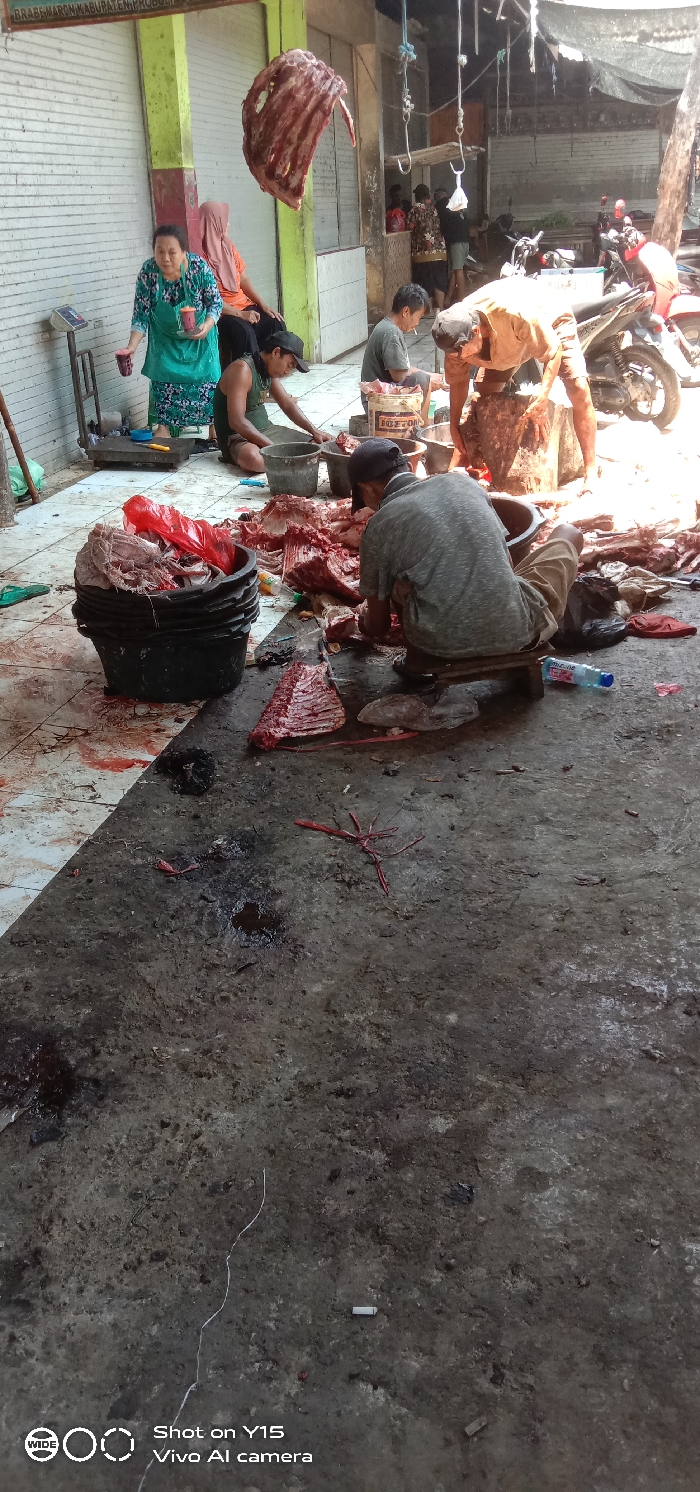 The image depicts an active, open-air meat processing area at Brabe Market, Maron District, Probolinggo Regency, Indonesia.
Seven individuals are visible. In the foreground, three men are actively engaged in butchering operations on the ground. One man, wearing a grey short-sleeved shirt and a dark cap, is squatted on a small wooden stool, processing meat into a grey bucket. Another man, wearing a dark green tank top, is seated and processing meat into a similar bucket. A third man, wearing a light brown t-shirt and a dark cap, is bent over a large wooden chopping block, using a cleaver.
To the left, a middle-aged woman in a green apron and a patterned dress stands by a digital weighing scale, holding two cups. Behind her, another woman in an orange shirt and hijab is seated. Two additional men are partially visible in the background.
A large, partially de-ribbed carcass or section of meat hangs from a hook overhead. Numerous piles of raw red meat, bones, and visceral organs are distributed across the immediate ground. Black and grey plastic buckets are utilized for collecting processed meat and waste materials, with a stack of black buckets filled with waste visible in the foreground. Tools include knives, cleavers, and a digital weighing scale.
The environment features a dirty, cracked concrete floor in the foreground, heavily stained with dark blood and scattered with debris including cigarette butts and red string-like material. The mid-ground consists of blood-splattered white tiled flooring. Overhead, a dark tarp or netting provides shade, from which hooks are suspended. The background shows light-colored building walls with green trim, and metal roll-down shutters indicative of market stalls. A dark motorcycle and a red scooter are parked behind the butchering area. The scene is illuminated by natural daylight.
