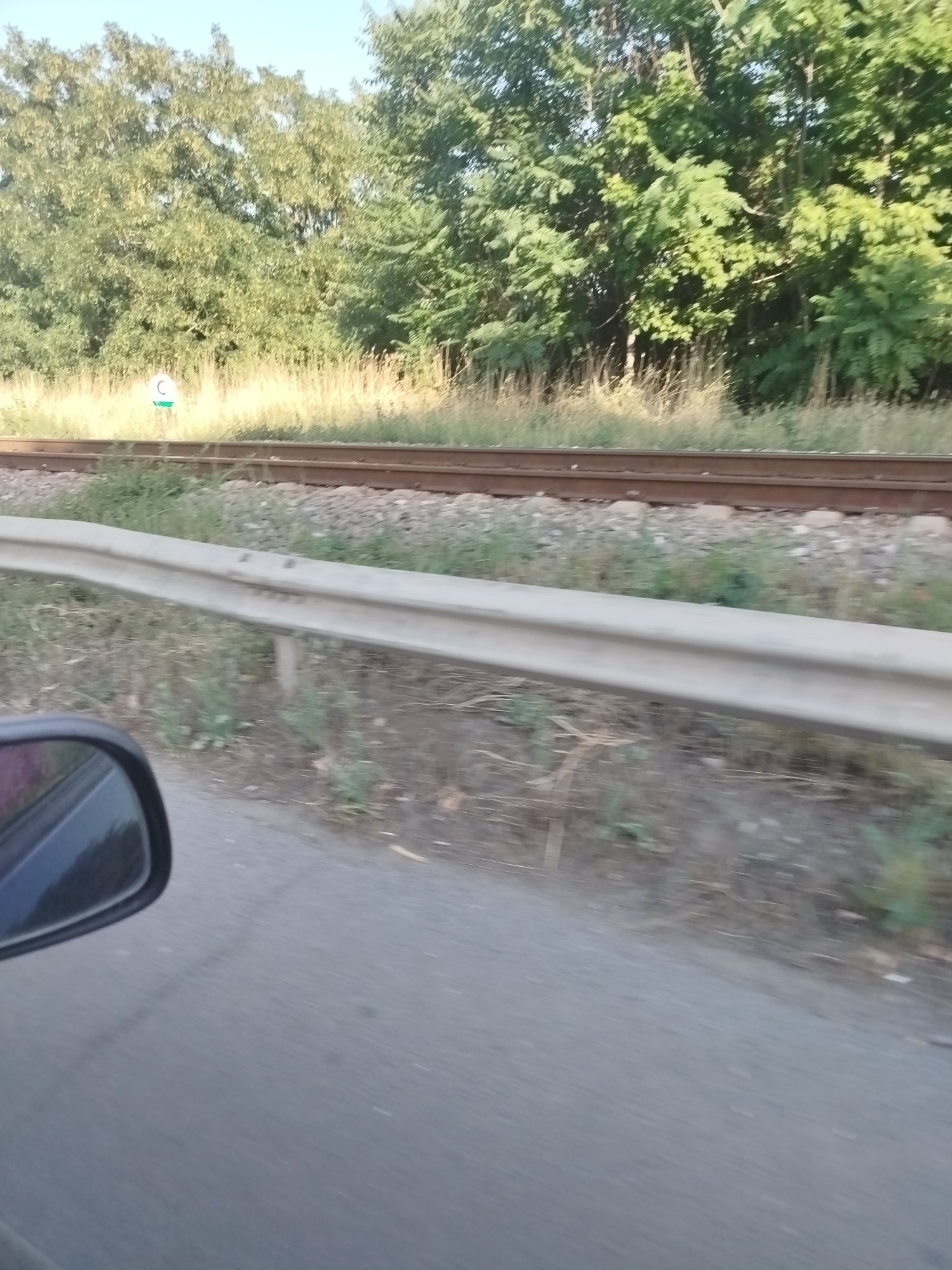 The image shows a view from a car's side mirror looking out towards a railway line and a dense line of trees. A metal guardrail runs along the side of the road in the foreground. A small, circular sign with a green border and a white "C" in the center is visible near the railway line, partially obscured by vegetation. The scene suggests a rural or semi-rural setting outside the city.