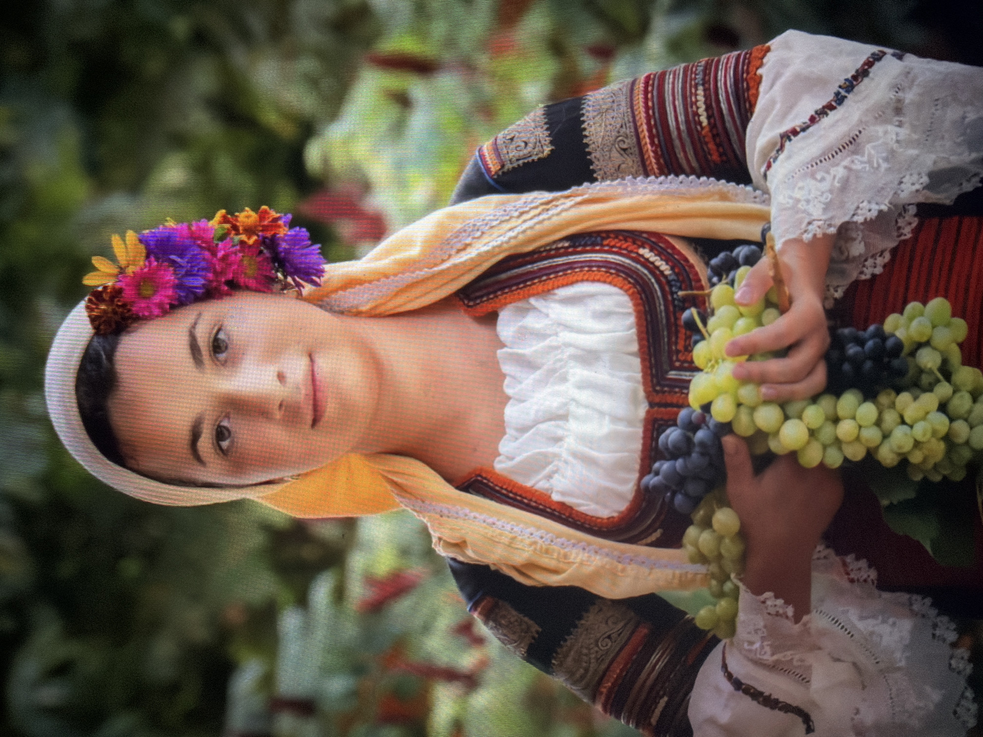 A young female subject, estimated to be in her late teens to early twenties, is positioned centrally, looking directly at the camera with a slight smile. She is wearing traditional Bulgarian folk attire, indicative of the Shumen region. Her dark hair is partially covered by a light-colored head wrap, beneath a draped yellow fabric that extends over her shoulders. A vibrant arrangement of artificial flowers in fuchsia, purple, orange, and yellow is pinned to the right side of her head. She wears a white blouse with a ruffled neckline and wide, lace-edged sleeves featuring intricate embroidery and eyelet details. Over the blouse, she has a garment with a highly ornate neckline trim in red, orange, and black, adorned with geometric patterns. The dark fabric of the upper sleeves is embroidered with gold and white patterns. A red fabric with horizontal stripes is visible at her lower torso. With both hands, she holds several large bunches of grapes, comprising both green and dark blue/purple varieties, at chest level. The background is a softly blurred outdoor setting, rich with green foliage and minor red accents, suggesting a natural environment such as a garden or vineyard in Shumen, Bulgaria.