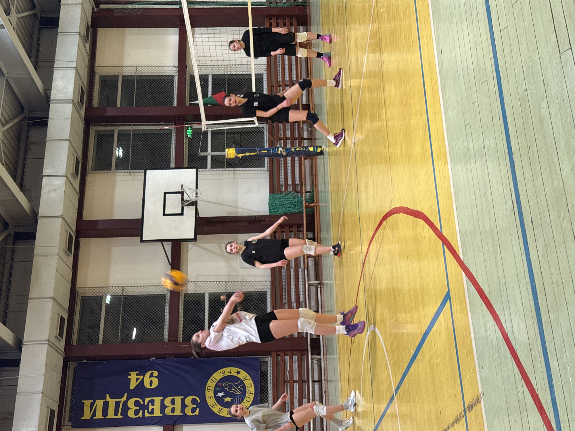 The image depicts an indoor volleyball practice or match involving five female individuals within a sports hall in Sofia, Bulgaria. The location is identifiable by a vertical blue banner on the left wall displaying "ЗВЕЗДИ 94" and "СОФИЯ" with an emblem.
The playing surface is a polished wooden court, predominantly yellow, with a lighter green section towards the bottom right. Red and blue lines demarcate court boundaries. Mid-center-left, one player in a white t-shirt, black shorts, white knee pads, and purple athletic shoes is airborne, actively striking a yellow and blue volleyball, which appears blurred from motion. To her left, another player in a light grey t-shirt, black shorts, white knee pads, and light-colored athletic shoes stands observing.
On the opposing side of a white volleyball net, three players are positioned. The player nearest the net, in a black t-shirt, black shorts, black knee pads, and maroon athletic shoes, maintains a ready stance. Behind her and to the right, a second player in a black long-sleeved top, black shorts, white knee pads, and pink athletic shoes stands further back. A third player, similarly attired in black with pink shoes and white knee pads, is partially visible behind the player in the maroon shoes.
The background features light-colored walls interspersed with dark red vertical structural beams and tall, rectangular windows fitted with grates. A white basketball hoop and backboard are mounted on the left wall above the volleyball net. Metal ventilation ducts run across the ceiling. A pole supporting the volleyball net displays segments colored white, green, and red, indicative of the Bulgarian flag. A green illuminated exit sign is visible on the far wall between two windows. The environment is illuminated by artificial overhead lighting.