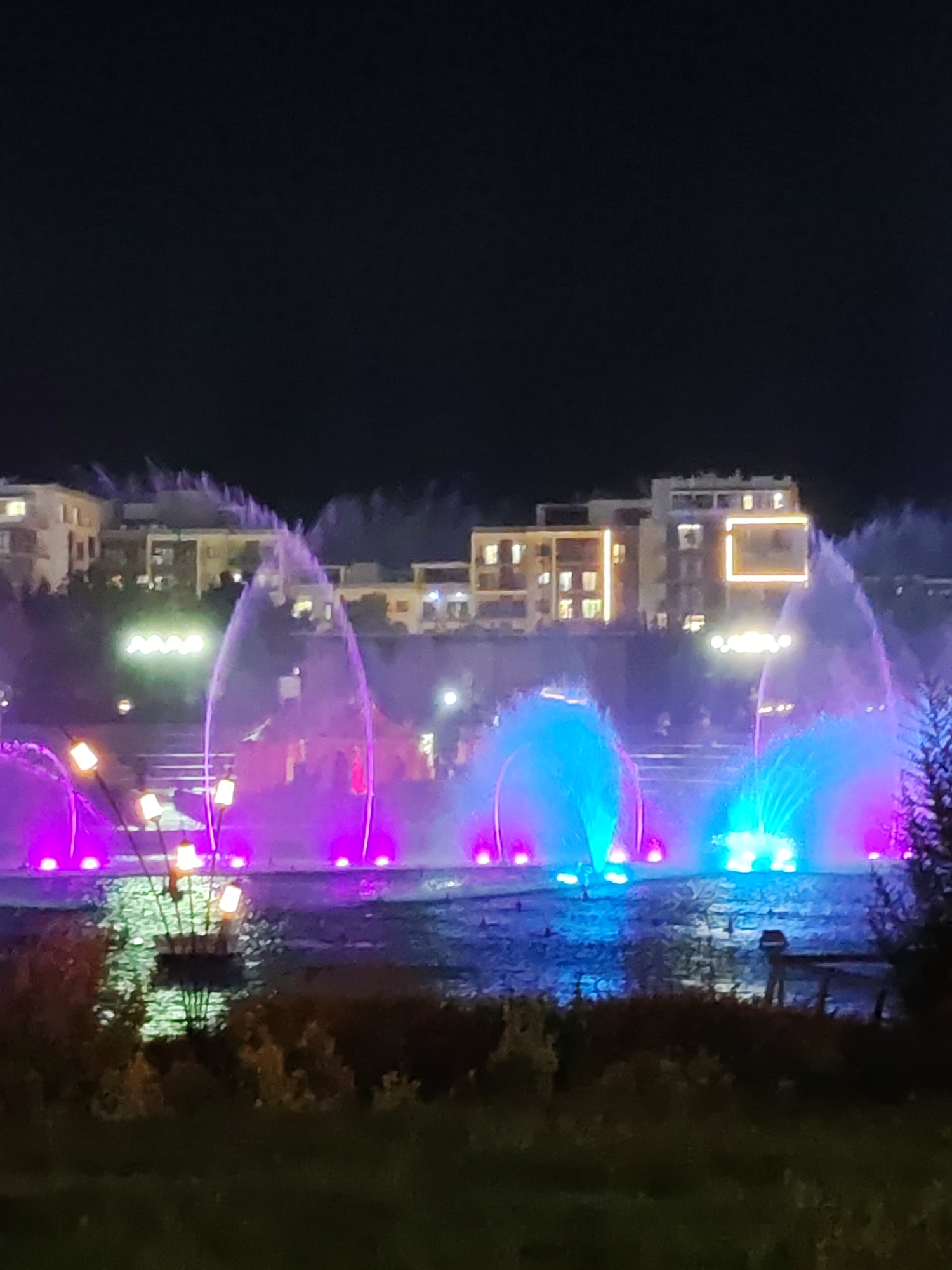A night-time, full shot shows a vibrant water and light show in a lake. Several large, illuminated fountains spew water that is lit in shades of purple and blue. In the background, there are modern buildings with illuminated windows, suggesting an urban setting. The foreground shows a dark, grassy area with some bushes and trees, partially obscuring the lake and fountains from view. The overall impression is of a lively entertainment or public space. The scene is captured at night, with the dark sky contrasting with the bright lights of the fountains and buildings. The location is identified as Tashkent, Uzbekistan.