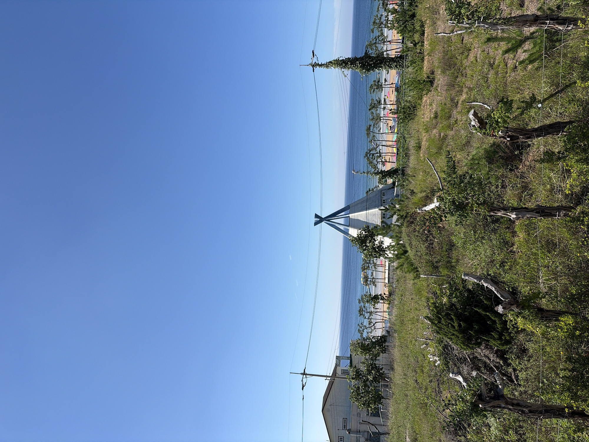 The image depicts a clear, sunny day in Mohang-ri, South Korea, with a view of the ocean. In the foreground, a grassy slope is dotted with dead tree branches and sparse vegetation, with a rustic wire fence running horizontally. Beyond the slope, a white, conical structure with a prominent "X" on top stands out, likely a part of a building or a unique architectural feature. To the left of this structure, a white, two-story building with visible windows is situated. A utility pole with power lines stretches across the frame. In the middle ground, a line of pine trees separates the structures from a beach area. The beach is populated with numerous colorful umbrellas and people, indicating a recreational scene. The ocean stretches to the horizon under a cloudless blue sky.