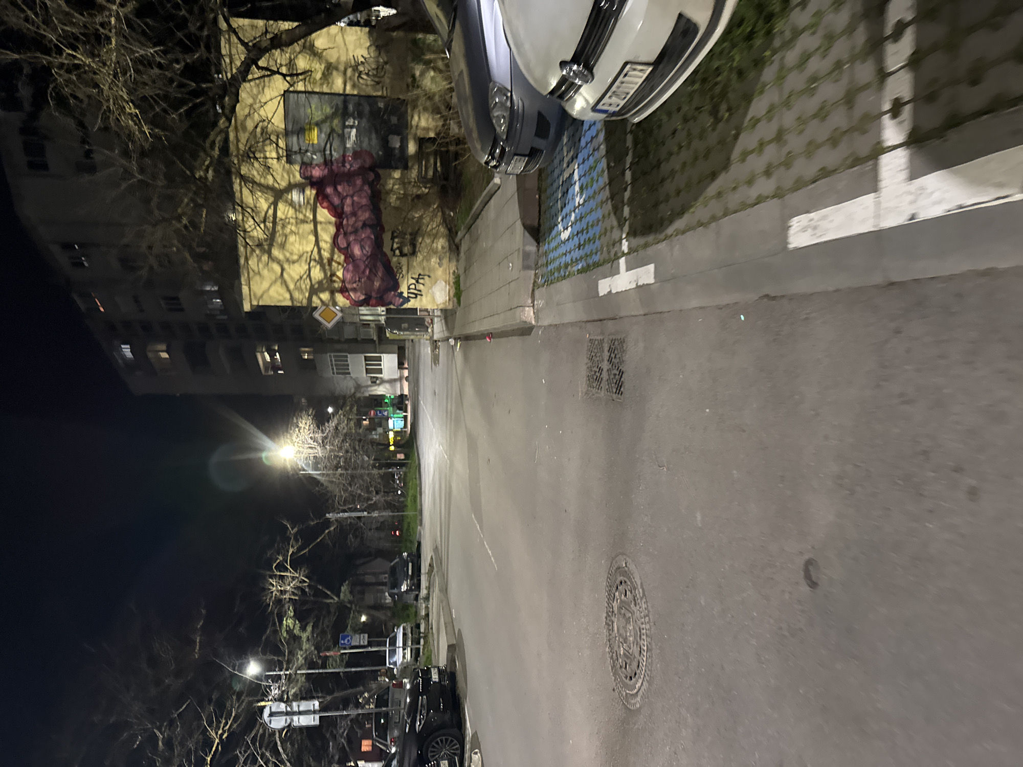 The image captures a street scene at night in Varna, Bulgaria. The street is paved and shows signs of wear, including a manhole cover and some minor debris. A few parked cars line the right side of the street, with a white car partially visible in the foreground. The curb is lined with rectangular pavement blocks. On the left side of the image, a building with multiple stories can be seen, adorned with some graffiti art. There is a mix of bare trees and streetlights along the street, indicating an urban environment. Other vehicles are also parked alongside the right side of the street, but are further down and not as clearly visible. The overall lighting is dim, coming from streetlights and the headlights of parked cars.