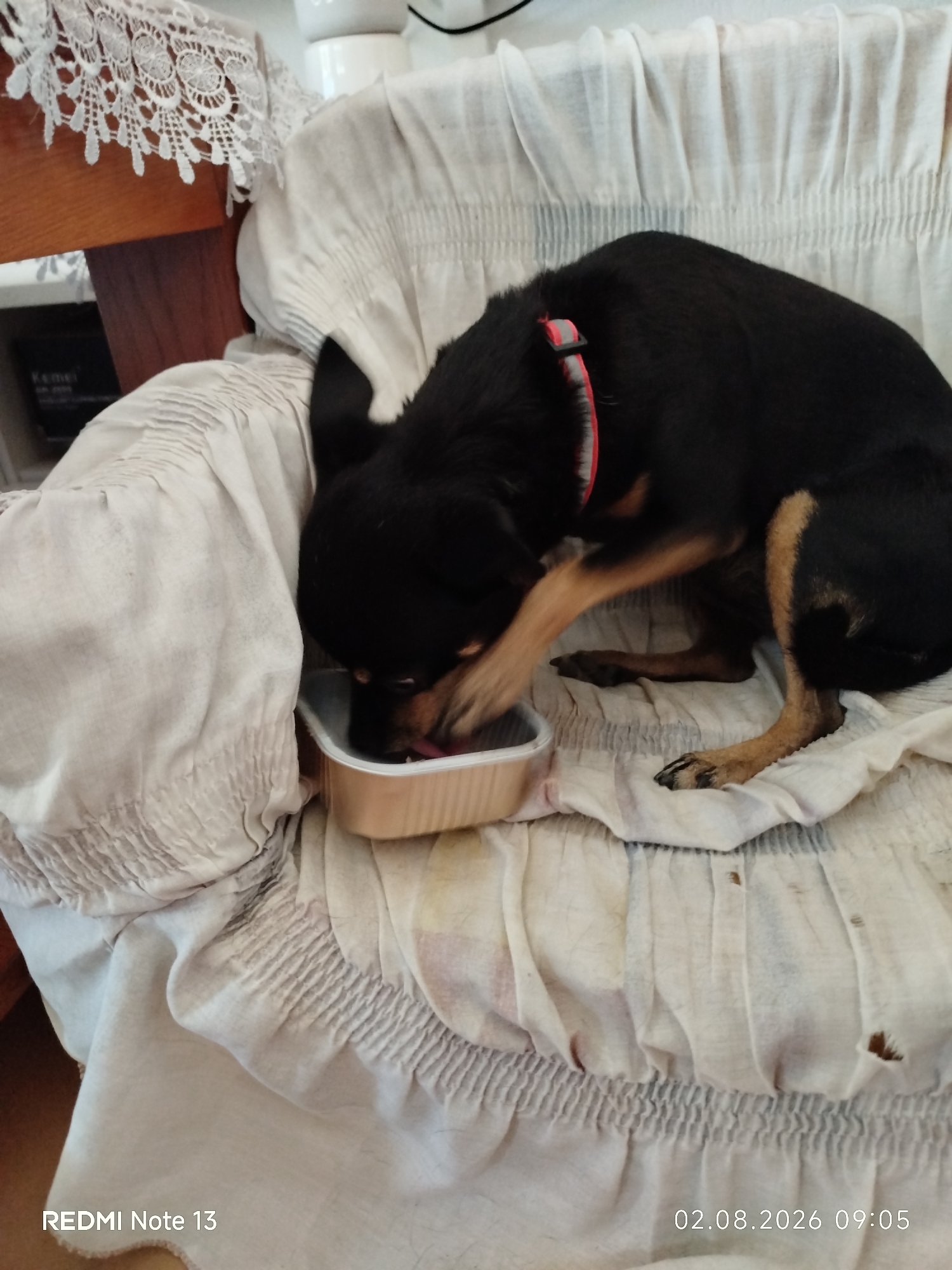 A small black and tan dog with a red collar is eating from a metallic food bowl placed on a white, ruffled fabric-covered chair. The dog is curled over the bowl, with its head and paws inside, actively consuming the food. The fabric of the chair is textured with pleats and gathers. In the background, there is a wooden piece of furniture with white lace detailing and some dark objects. The image is timestamped "02.08.2026 09:05" and branded "REDMI Note 13". The location in Sithonia Municipal Unit, Greece, is not visible in the image itself.