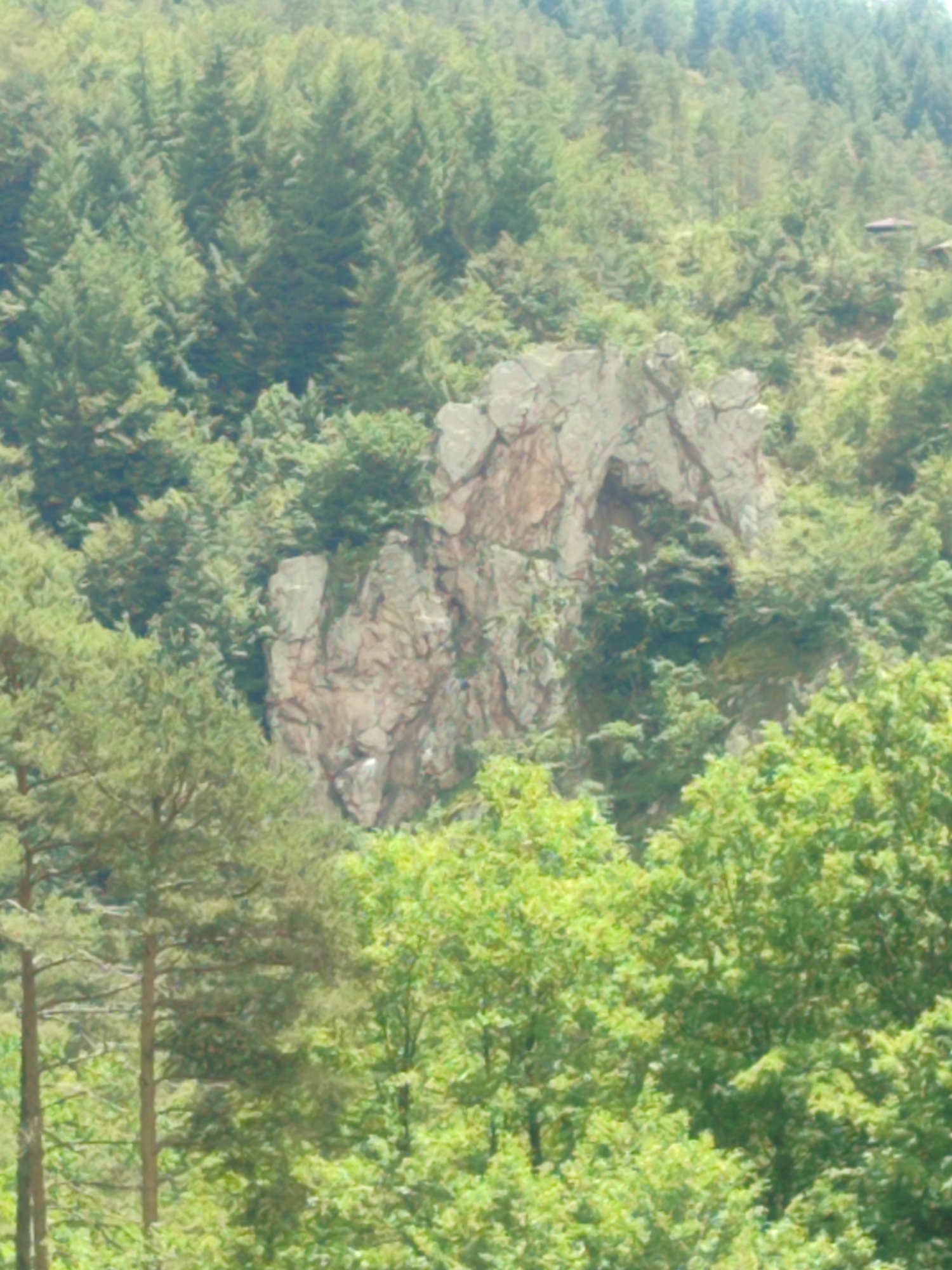 The image captures a vibrant, natural landscape dominated by a dense forest covering a hillside or mountain slope in Leshtak, Bulgaria. The scene is brightly lit by natural daylight, suggesting clear weather conditions.
The primary subjects are numerous trees of varying types and a prominent rocky outcrop situated roughly in the midground. The upper and middle sections of the slope are densely populated with dark green coniferous trees, creating a thick, uniform canopy. In the foreground, particularly towards the bottom and left, there's a mix of lighter green deciduous trees and some visible tree trunks, indicating a diverse forest ecosystem.
Centrally located, a large, light grey and brown rock formation breaks the continuity of the forest. This rocky feature shows distinct cracks, weathered surfaces, and shadows, indicating its rugged texture. A darker, cave-like indentation or recess is visible within the rock formation in its lower-central part.
No people, specific man-made objects (apart from potentially very distant, indistinct structures blending into the forest, which are not clearly identifiable), or visible text are present in the image. The scene depicts a serene, untamed natural environment, devoid of any discernible activity or event.