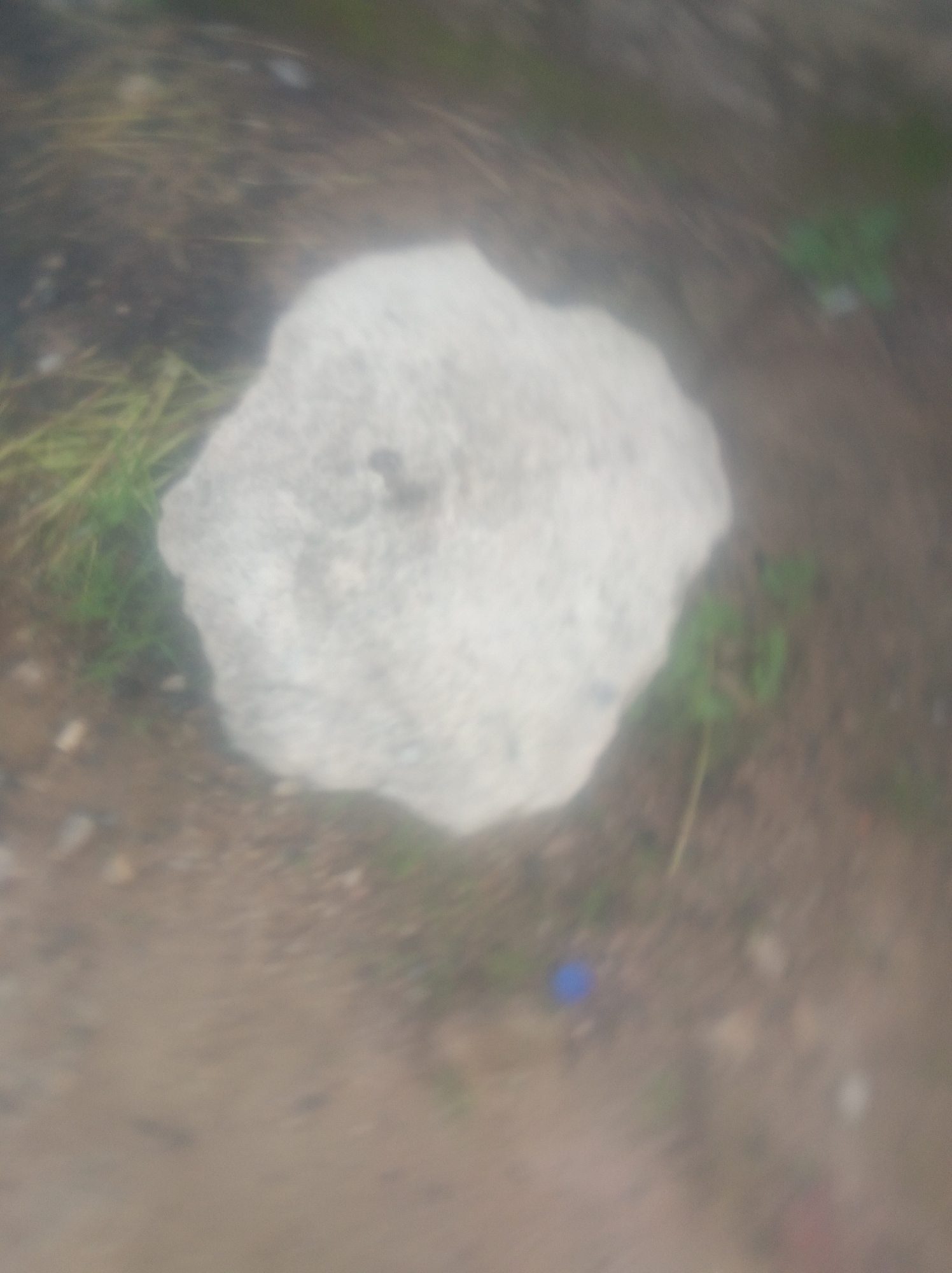 The image depicts a slightly out-of-focus, overhead view of a light-colored, irregularly shaped object, possibly a flat stone or piece of concrete, situated on the ground. The ground appears to be a mix of dirt, dry grass, and some sparse green vegetation. The lighting suggests it is daytime. The overall scene is terrestrial and naturalistic, with no discernible man-made structures or clear indicators of a specific location within Jalingo, Nigeria.