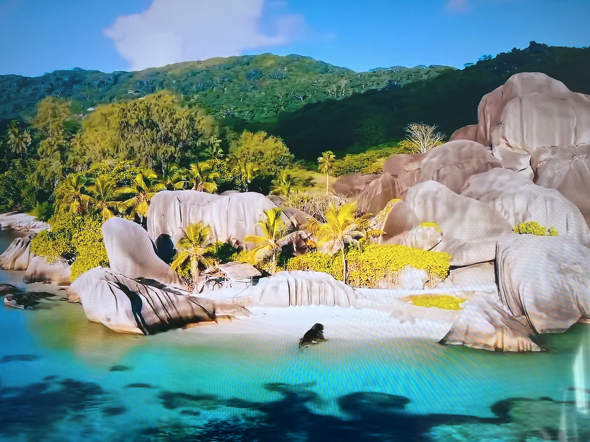The image shows a tropical beach with large granite rock formations, lush green vegetation, and clear turquoise water. A dark-haired individual is partially submerged in the water near the sandy shore. Palm trees are visible amidst the rocks and vegetation. In the background, a forested hillside rises. The setting is a tropical beach landscape, and not the city of Basingstoke and Deane, United Kingdom.