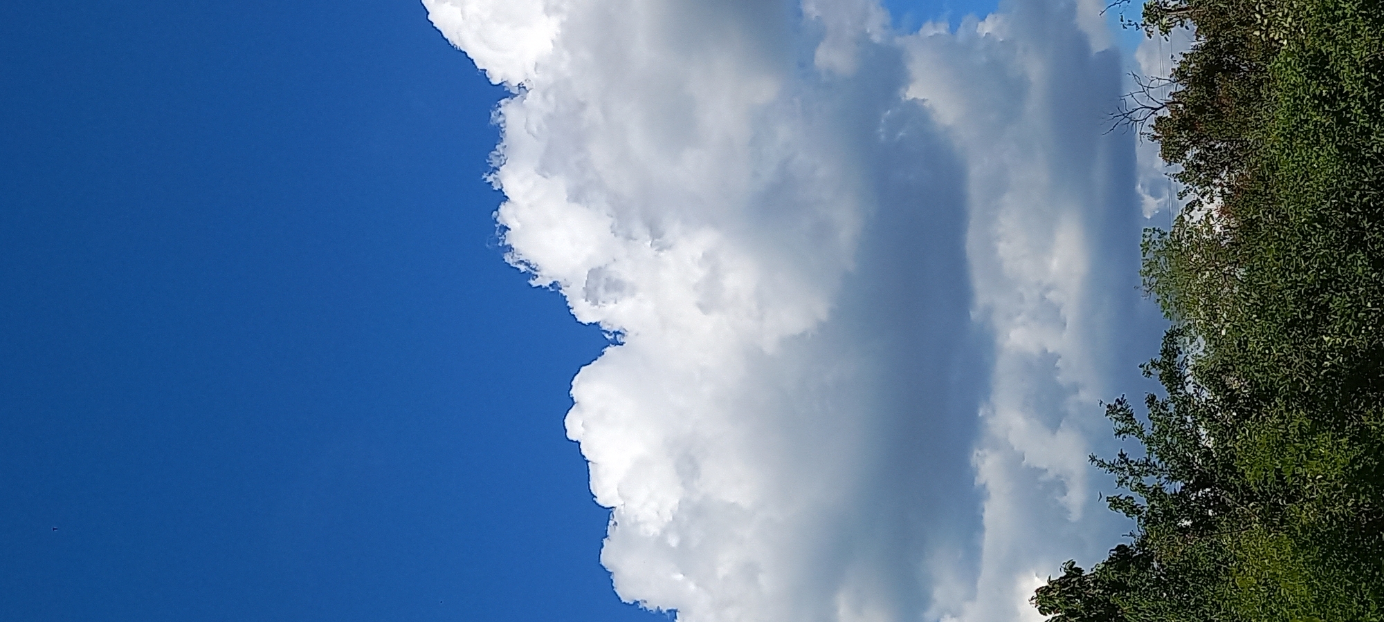 The image presents a view of the sky with a large, billowing cloud formation dominating the right side. The cloud's texture varies from bright white to shadowed grey. To the far right of the cloud, dense green foliage of trees is visible. The remaining portion of the image showcases a clear, bright blue sky. The scene appears to be outdoors during daylight hours. Location cannot be determined from the image.