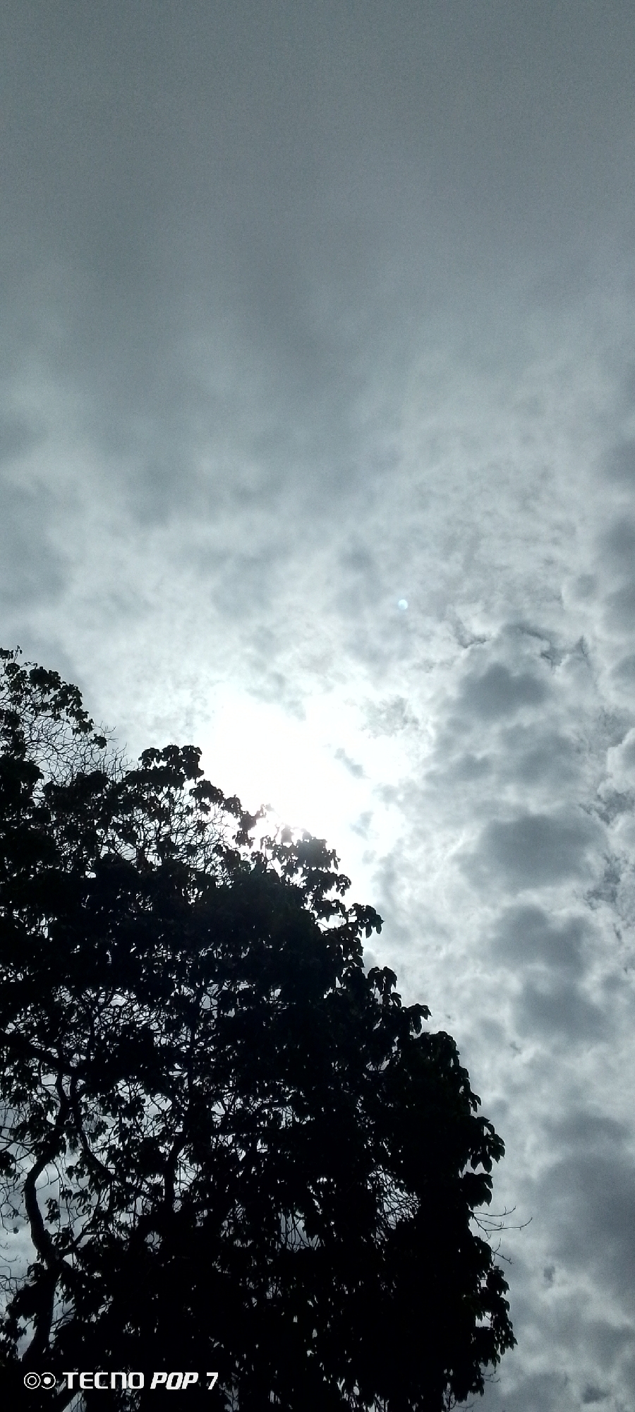 The image shows a silhouetted tree in the foreground against a cloudy sky. The sun is visible behind the clouds, creating a bright glow. The lower left corner of the image contains a watermark that reads "TECNO POP 7". The scene appears to be an outdoor environment, likely in a natural setting within the city of Altagracia, Venezuela, judging by the watermark which indicates the phone model used, potentially suggesting the origin of the image. There are no people or distinct objects in the scene other than the tree and the sky. The overall mood is somewhat dramatic due to the strong contrast between the dark tree and the bright sky.
