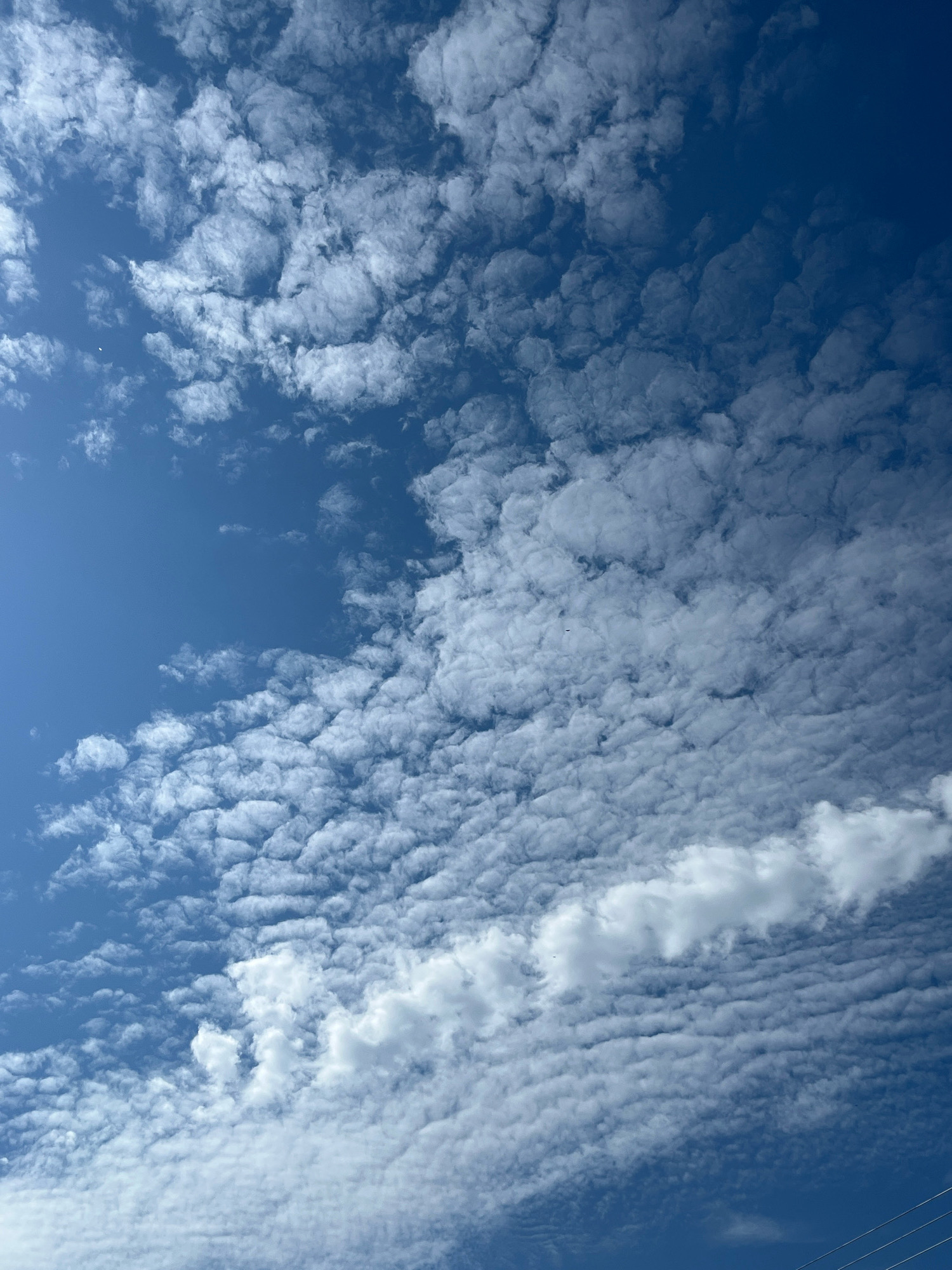 The image shows a sky filled with altocumulus clouds. The clouds are patchy and appear to be at a medium altitude. They are illuminated by sunlight, giving them a bright white appearance against the deep blue sky. The clouds are not uniformly distributed; there is a sparser area in the upper left quadrant and a denser area towards the right and bottom of the frame. A few wispy clouds are scattered throughout the image, and one larger, more distinct cloud formation is visible in the lower right. The perspective suggests the photo was taken looking upwards. There are no people, buildings, or other terrestrial objects visible. The environment is an open sky. The location is identified as Piedras Negras, Mexico, however, there are no visual elements in the image that specifically confirm this location.