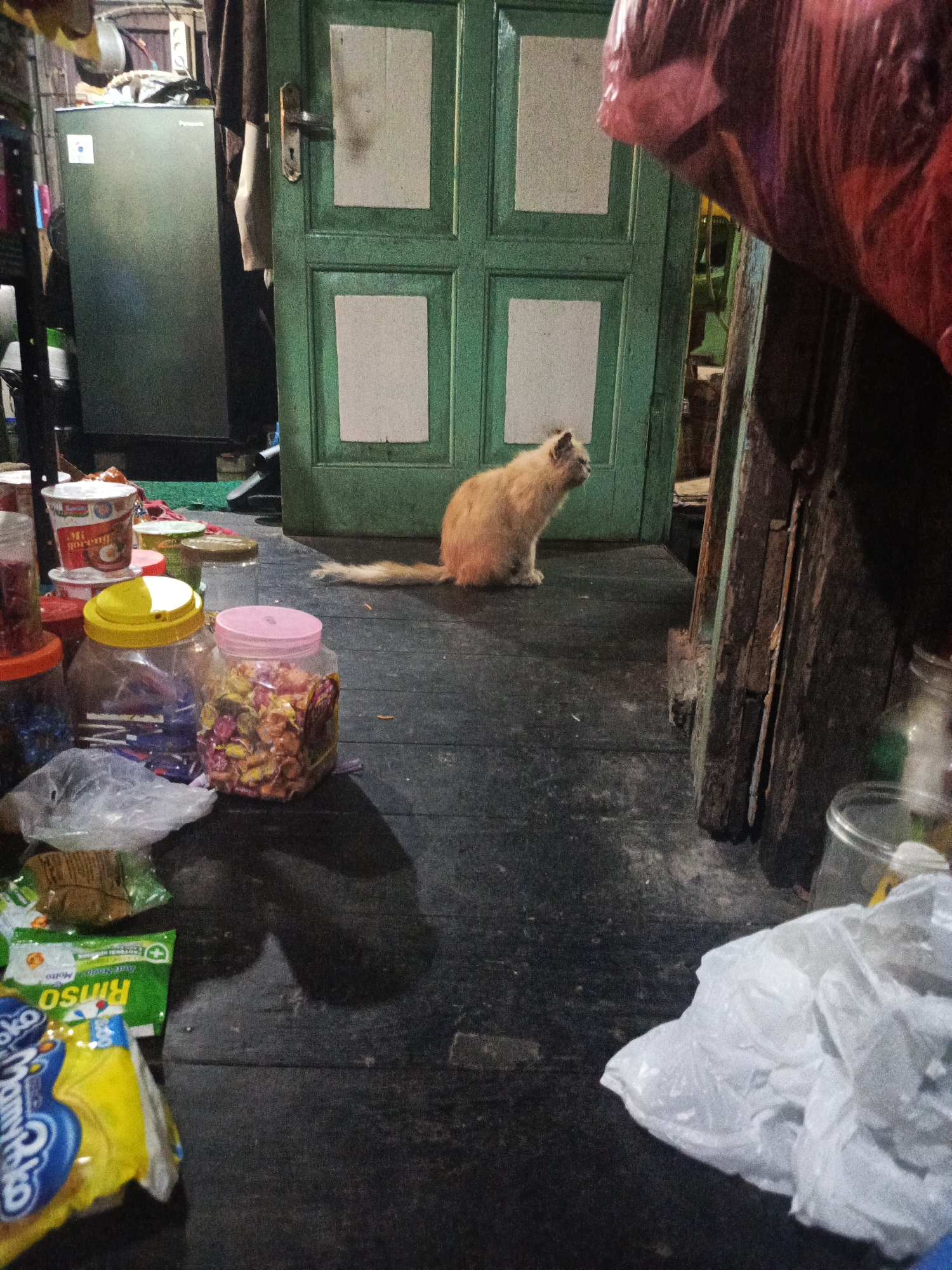 A ginger cat is perched on a dark wooden floor, near a green wooden door. To the left of the cat is a green refrigerator. Several jars and plastic containers filled with various items, possibly food or candies, are arranged on the floor in front of the cat and the door. Some plastic bags and packaging are also present on the floor. The scene appears to be an indoor setting, possibly a storage area or a cluttered room. The lighting is dim, casting shadows on the floor and walls. The background shows a rustic wooden structure and a glimpse of what might be an open doorway. The overall impression is one of a utilitarian or domestic space with a cat as the primary subject. The specific location in Banjarmasin, Indonesia, cannot be determined from the visual information alone.