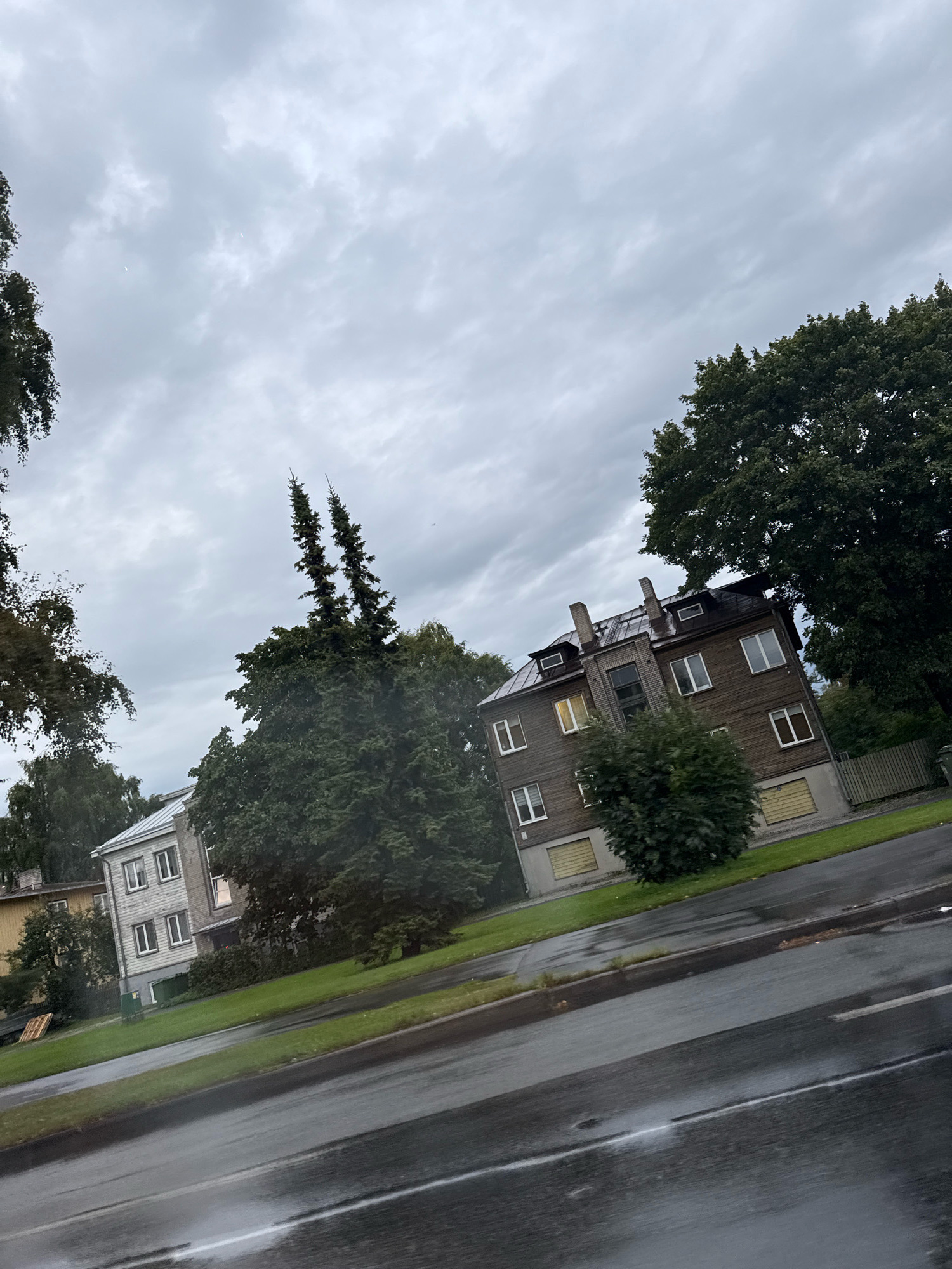 The image shows a street view in Tallinn, Estonia, under an overcast sky. Two apartment buildings are visible. The one on the left is a lighter colored building with multiple windows. The building on the right is a taller, wooden structure with visible chimneys and multiple windows, some of which appear to be boarded up. Trees are abundant, with large, leafy trees on the right and evergreen trees, including two distinct, tall, spire-like evergreens, in the center. The street in the foreground appears wet, indicating recent rain. The perspective of the image is tilted.