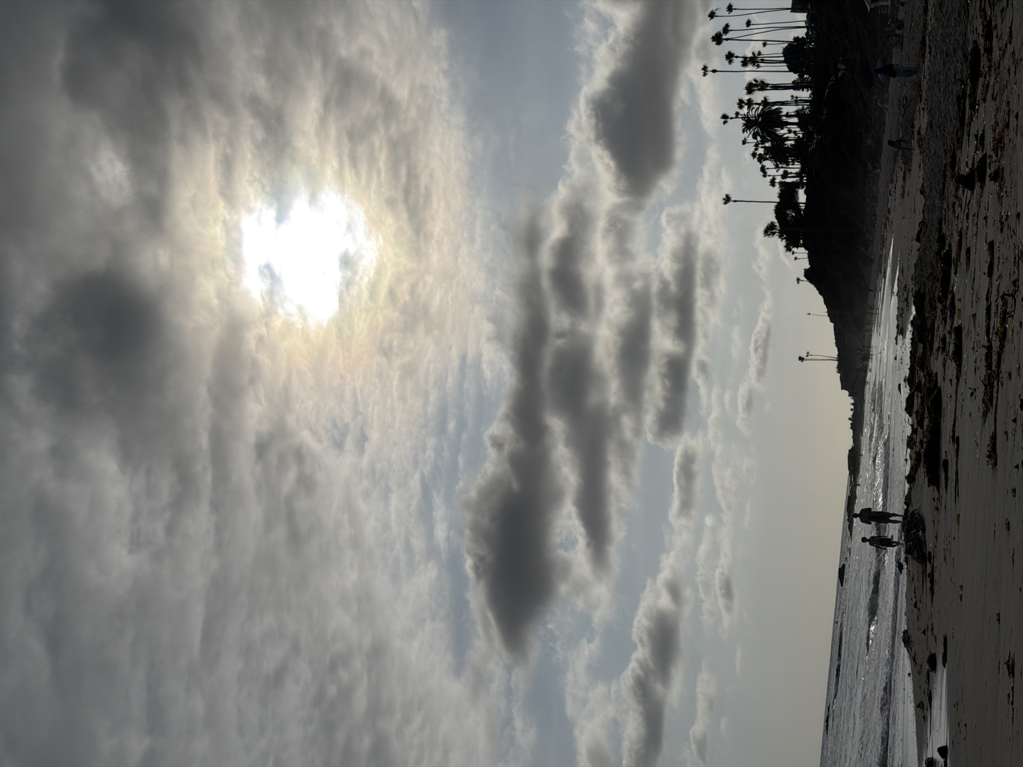 This is a full-frame, vertical, medium-angle, silhouette shot of a beach in Laguna Beach, California. The sun is high in the sky, partially obscured by clouds. Two people are walking along the shore, with the ocean to their left. Palm trees line a cliff in the background.