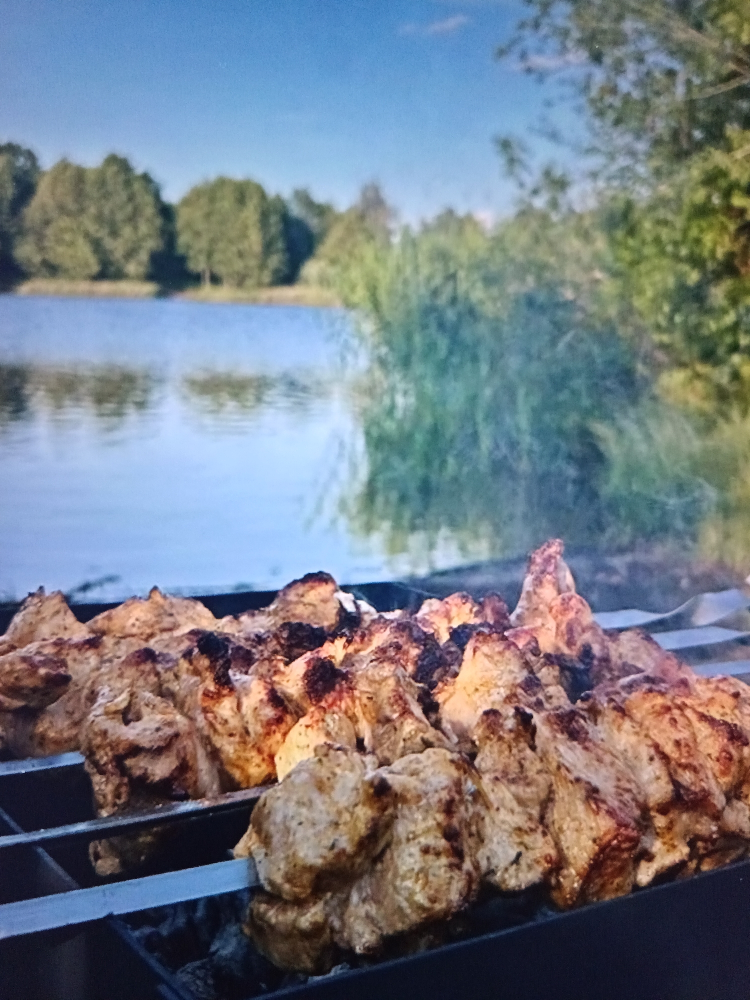In the foreground, skewers of grilled meat are positioned over charcoal, with some pieces showing charring. Behind the grill, a body of water reflects the sky and trees. The background features a treeline with lush green foliage under a clear blue sky. The scene appears to be an outdoor picnic or barbecue setting. The specific location in Zvenigorod, Russia, is not discernible from the visual information provided in the image. There are no people visible in the image.