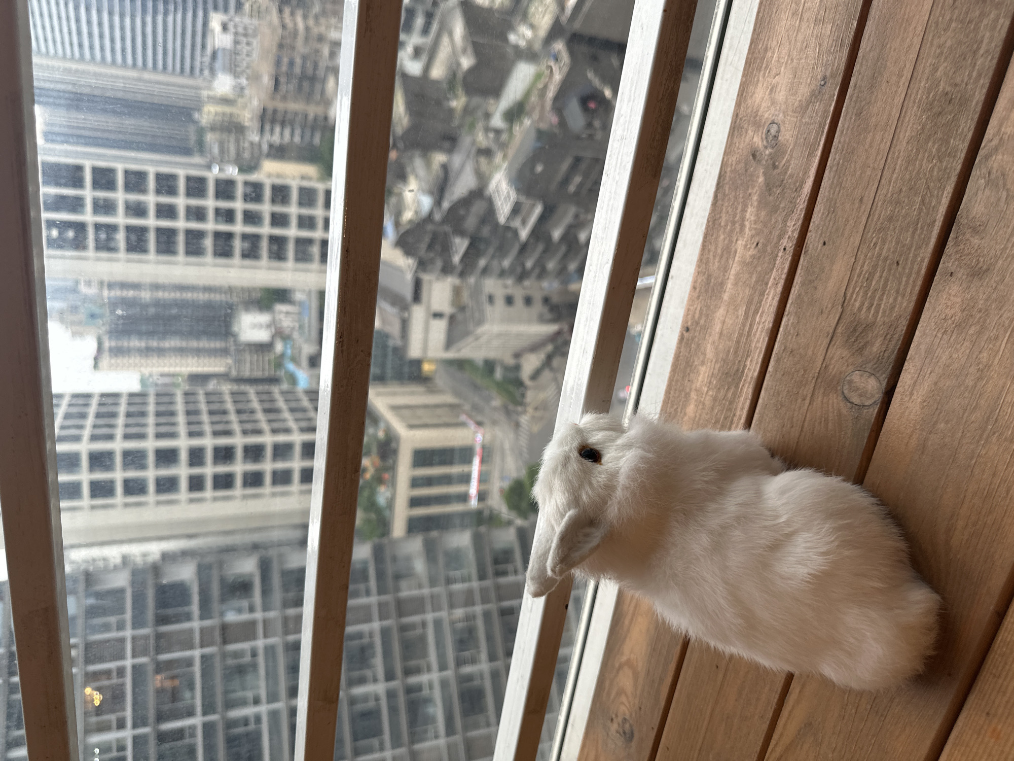 A white rabbit is partially visible on a light brown wooden surface, possibly a window ledge. The rabbit's head is near a window frame constructed of thin white bars. Outside the window, there is a high-angle view of a city with many tall buildings. Based on the style of the buildings and the overall appearance, the city might be in the Yuzhong District of China. No people are visible. The rabbit seems to be looking out the window. The view suggests a significant height above ground level.