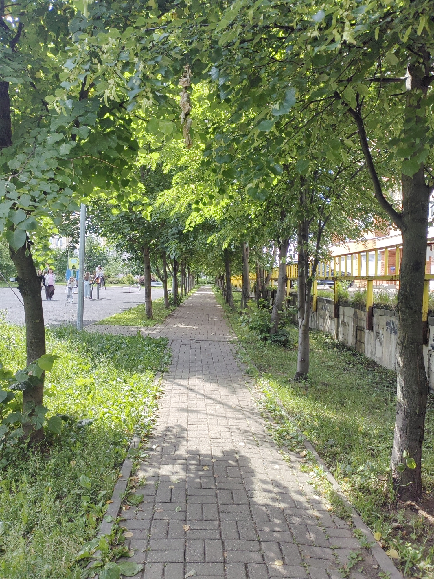 The image shows a brick pathway lined with trees on both sides. On the left, beyond the trees, is a playground area with some children and playground equipment. On the right, beyond the trees, is a concrete wall with a yellow railing on top, and a building with a red roof behind it. The scene is an outdoor urban environment, possibly a park or a residential area, in the city of Putilkovo, Russia. The pathway is shaded by the trees, with dappled sunlight on the bricks. The ground is covered with grass and some scattered leaves.