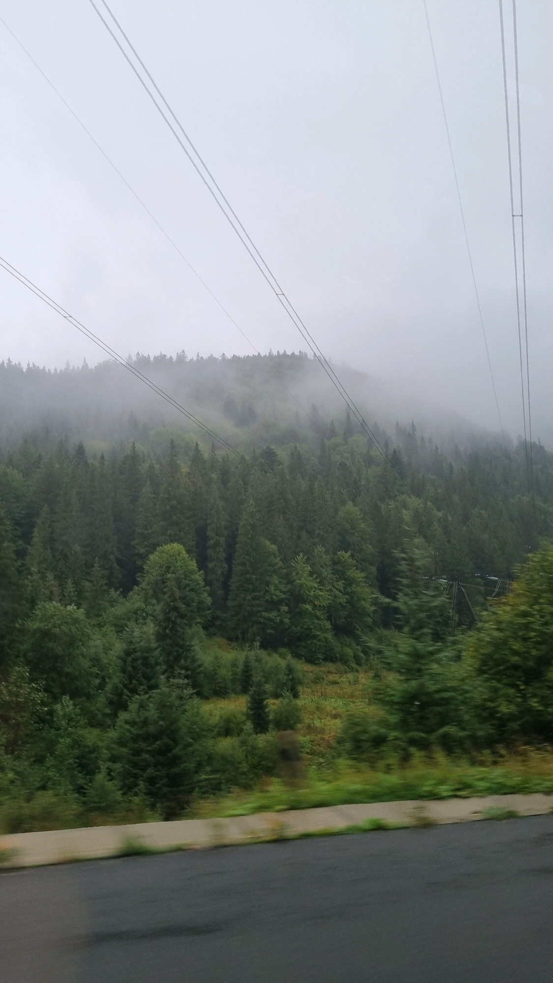 The image depicts a misty, forested hillside in Senechiv, Ukraine, with power lines stretching across the frame. The foreground shows a dark, wet asphalt road, bordered by a concrete barrier and vegetation. The hillside is densely covered with evergreen trees, some of which are obscured by fog. The sky is overcast and white, blending into the mist. No people or animals are visible in the image.