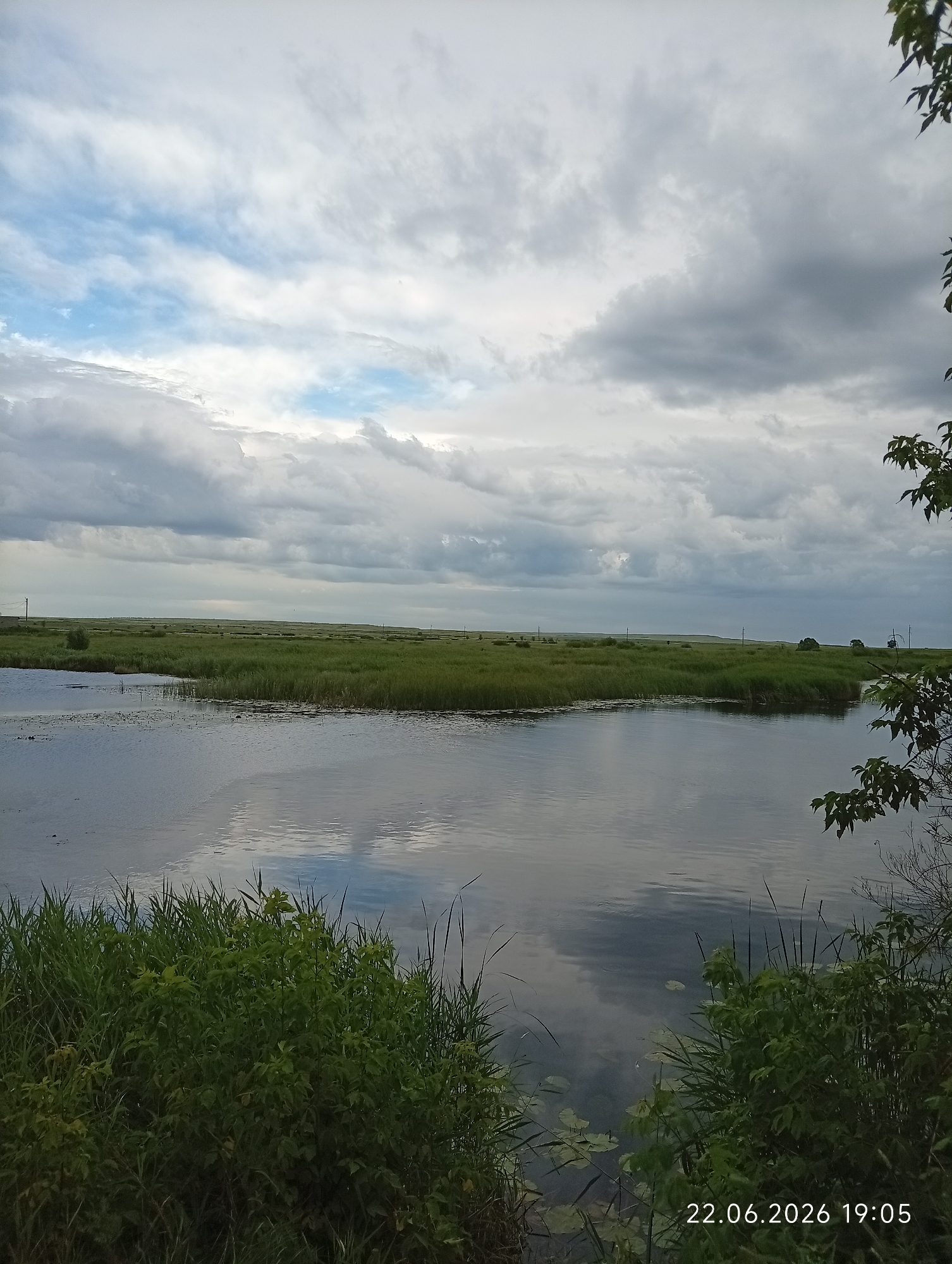 A tranquil body of water reflects a cloudy sky, with a lush green field stretching to the horizon. The foreground features dense vegetation, with tall grasses and leafy plants lining the water's edge. In the distance, sparse trees dot the landscape, and power lines are visible against the sky. A date stamp in the lower right corner indicates "22.06.2026 19:05." The scene appears to be a natural landscape, possibly near the city of Sarytogay, Kazakhstan, given the implied context, though no specific landmarks are identifiable.