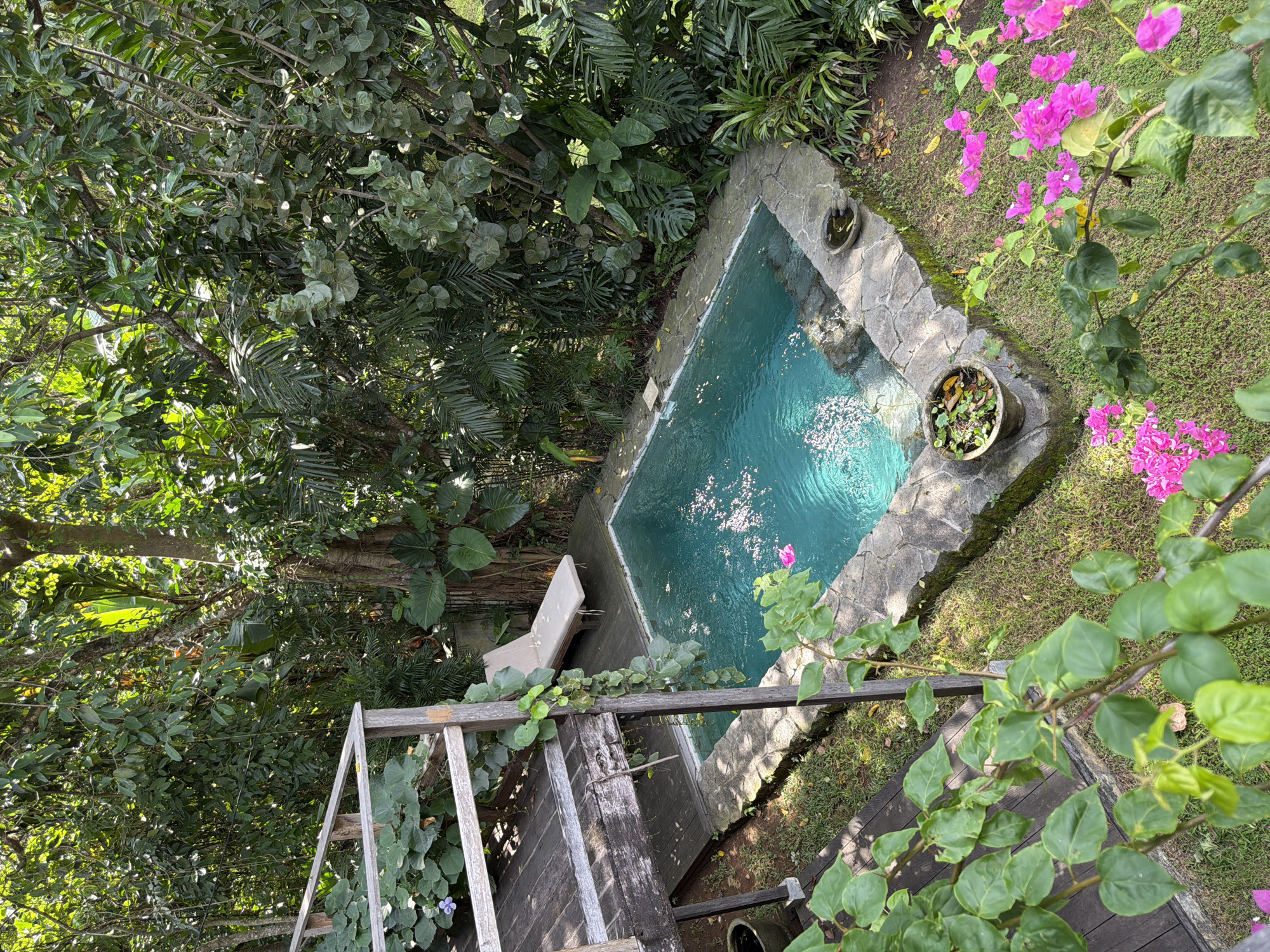 An overhead shot captures a small, rectangular pool with turquoise water, surrounded by a stone border. The pool is situated amidst lush greenery including trees, bushes and flowering plants. A wooden deck with railing is positioned near the pool. The location is Kediri, Indonesia.