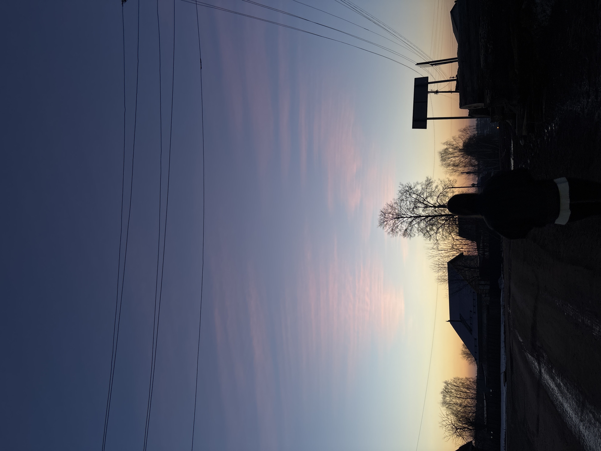 The image depicts a street scene in Фоки, Russia at twilight. The sky is a gradient of blue, pink, and orange with linear pink clouds. Power lines crisscross the sky. A bare tree stands in the middle ground, partially obscuring a building. A dark figure is partially visible on the right side of the frame, walking along a wet, dark road. In the background, a signpost and more buildings are visible. The scene appears to be a residential area.