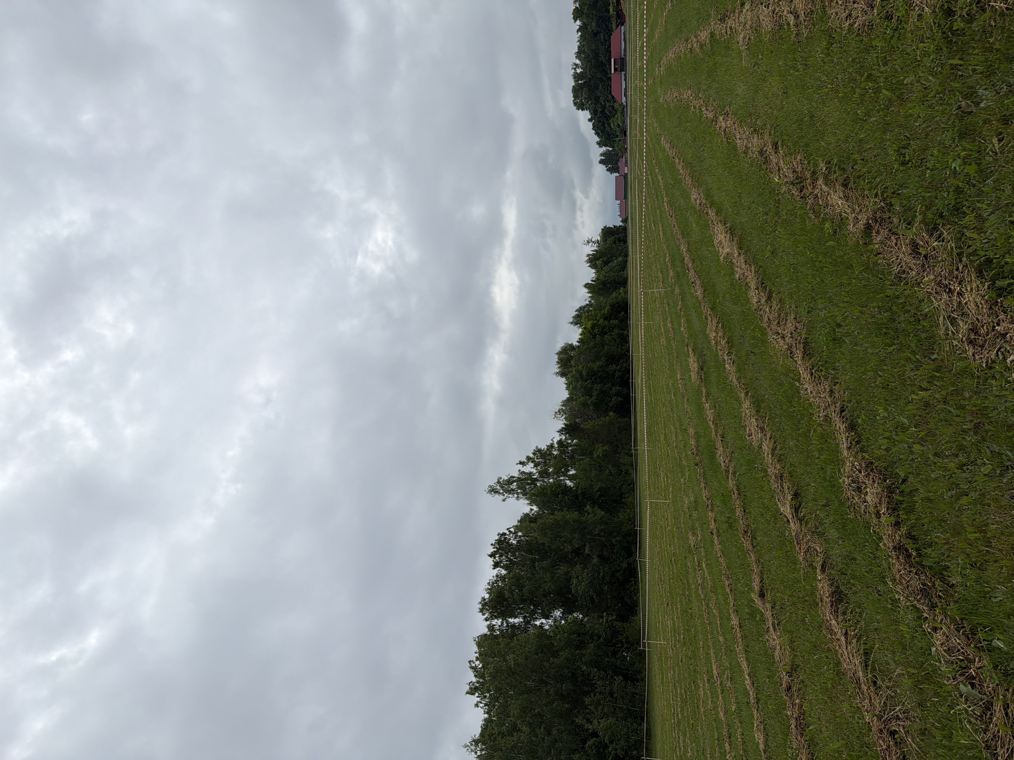 The image displays an expansive agricultural field under a heavily overcast sky in Menzelinsk, Russia. The upper third of the frame is filled with a uniform gray, densely clouded sky. The field, occupying the majority of the lower two-thirds, features green grass distinctly patterned with numerous parallel rows of dried, light brown cut vegetation, consistent with recent mowing. In the midground, a white and red striped barrier tape spans horizontally across the field, supported by slender, light-colored stakes. A dense line of dark green deciduous trees forms a backdrop along the left and central background. To the far right in the background, several structures with prominent red roofs are partially visible, suggesting distant buildings or farmsteads. There are no individuals or animals present in the scene.