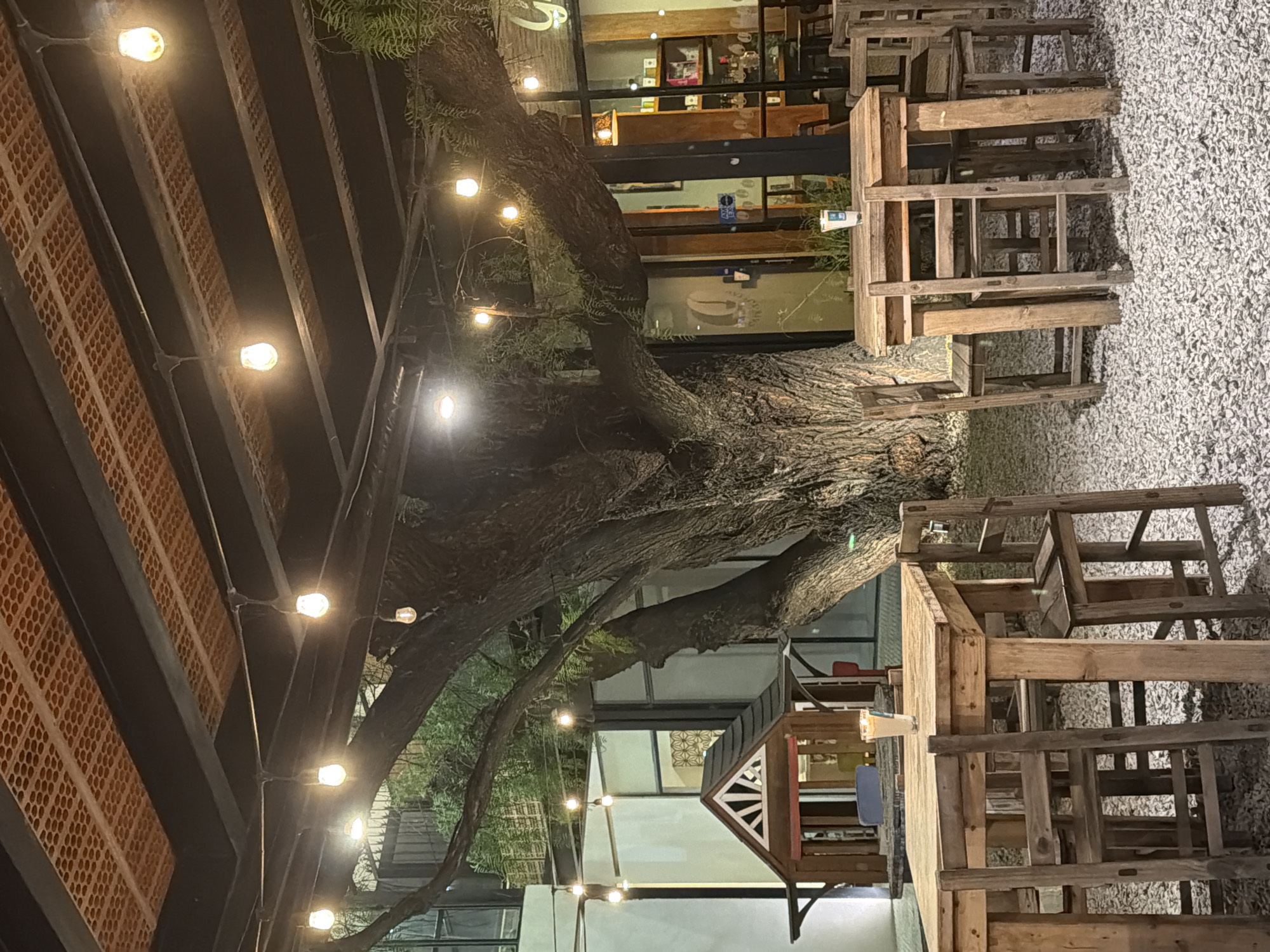 The image depicts an outdoor seating area, likely a cafe or restaurant, in San Andrés Cholula, Mexico. Dominating the scene is a large, mature tree whose branches extend broadly, providing shade. The space is illuminated by string lights hung beneath a structure that appears to be a pergola with a brick-like pattern on the side. The seating arrangements consist of wooden tables and chairs, seemingly arranged for casual outdoor dining. The ground is covered with small pebbles or gravel. The background reveals architectural details of buildings, including glass windows and doors, and potentially another small structure. The overall atmosphere is relaxed and inviting, suggesting a place for socializing and enjoying the outdoors.