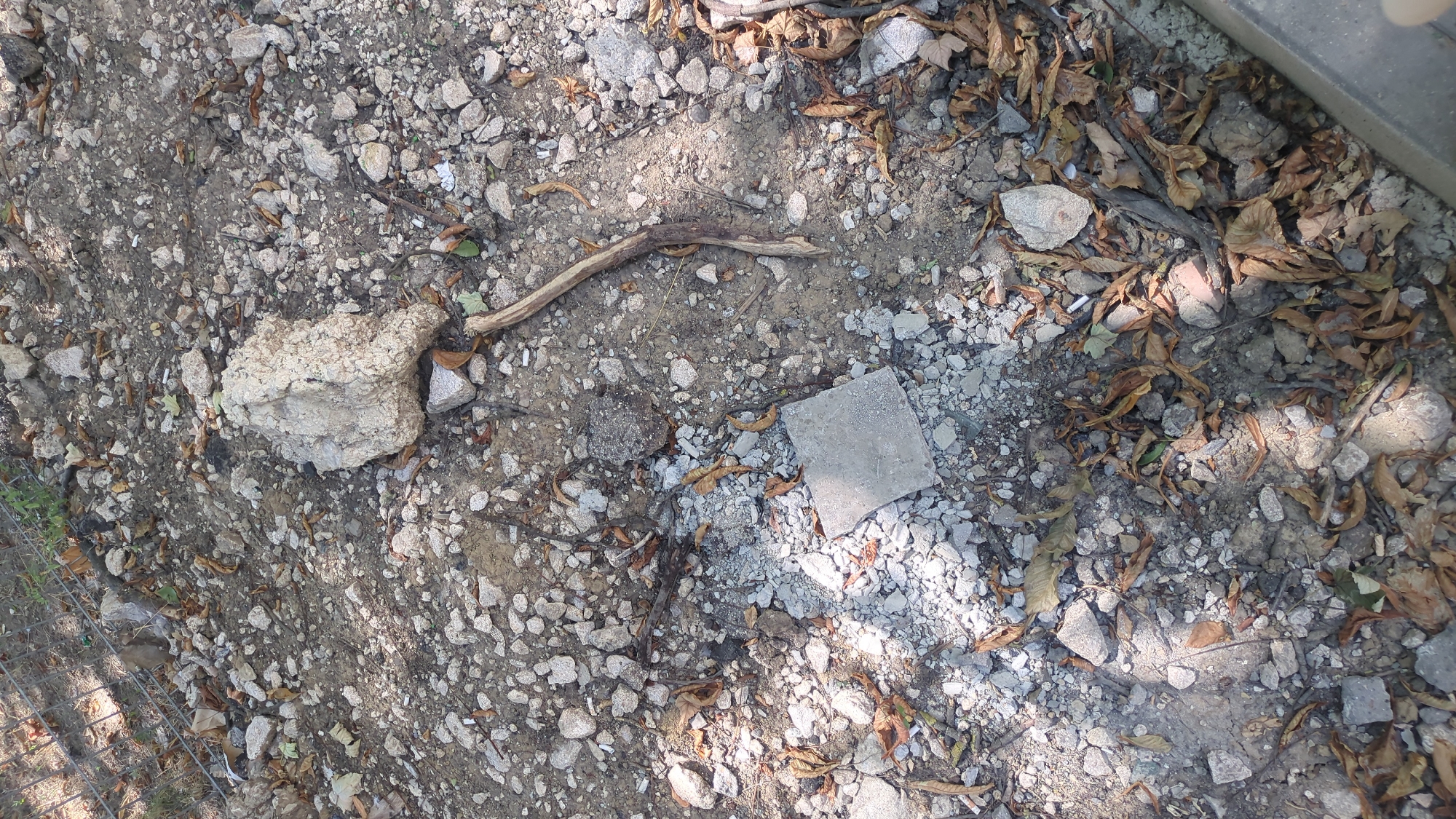 An overhead shot shows a rough, uneven ground surface composed of dirt, gravel, small rocks, and scattered brown leaves. A light-colored, irregularly shaped rock sits prominently in the center-left, connected to a thin, dry twig that extends to the right and downwards. A small, square gray tile lies flat on the ground to the left of the rock. The scene is illuminated by sunlight, casting shadows across the ground. The environment suggests an outdoor area, possibly a park, unpaved path, or construction site, with elements of natural debris and man-made objects.