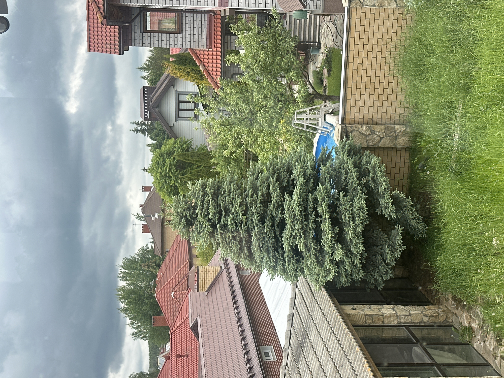 The image depicts a residential area in Orekhovka, Russia, under a cloudy sky. Several houses with red and gray tiled roofs are visible. A large, blue-green conifer tree is in the foreground. A swimming pool with a ladder and a brick wall with stone accents are also present. Grass is growing along the edge of the scene. There are no people visible in the frame.