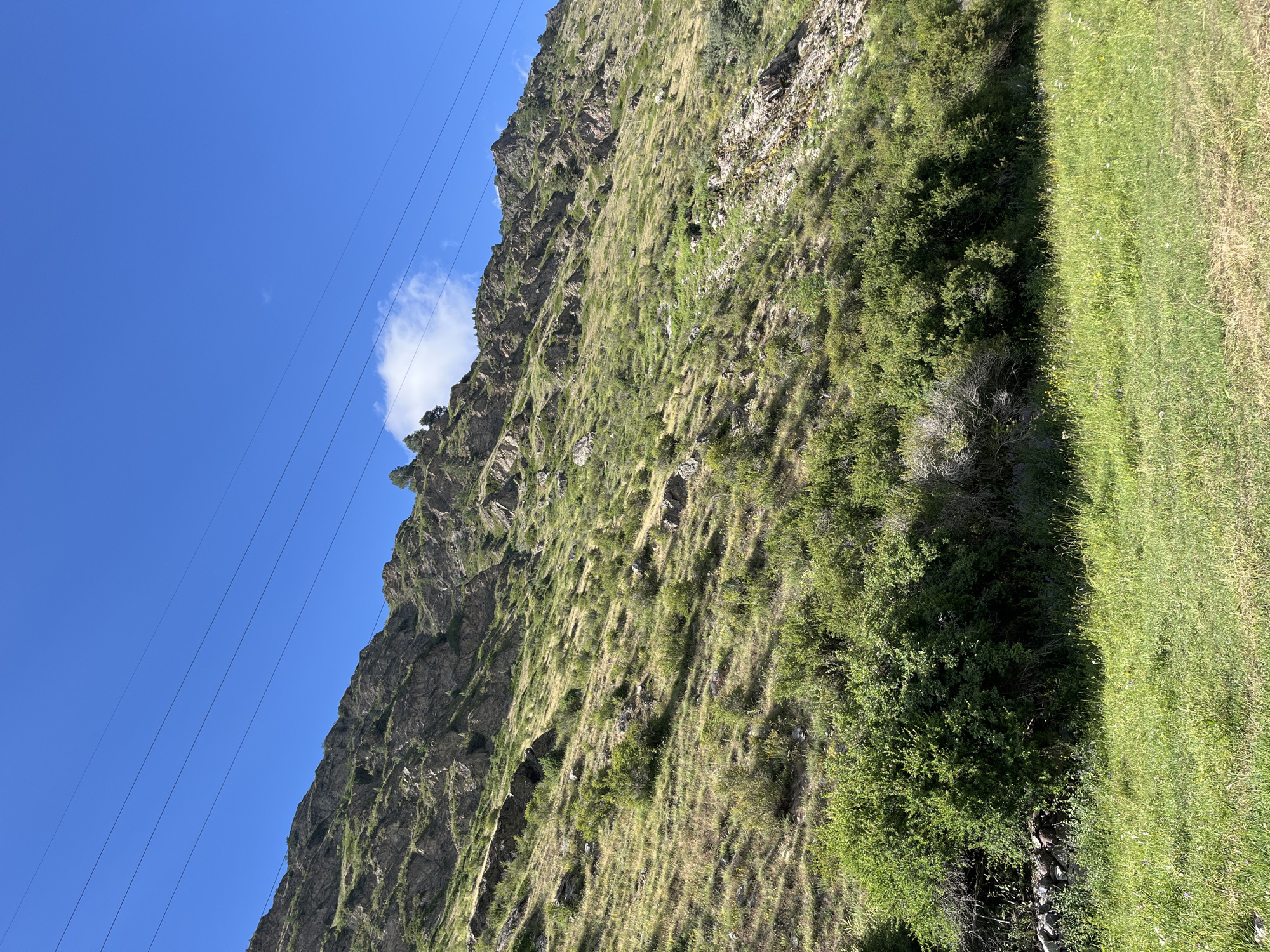 The image captures a natural landscape dominated by a steep, rocky mountainside covered in sparse green vegetation and dry grass. The mountain slope is cut by the shadows of power lines that stretch across the clear blue sky. In the foreground, a lush green meadow is visible, with scattered bushes and rocks. The scene appears to be a remote, undeveloped area, consistent with the mountainous terrain of Tegenekli, Russia. There are no people or animals depicted in the image.