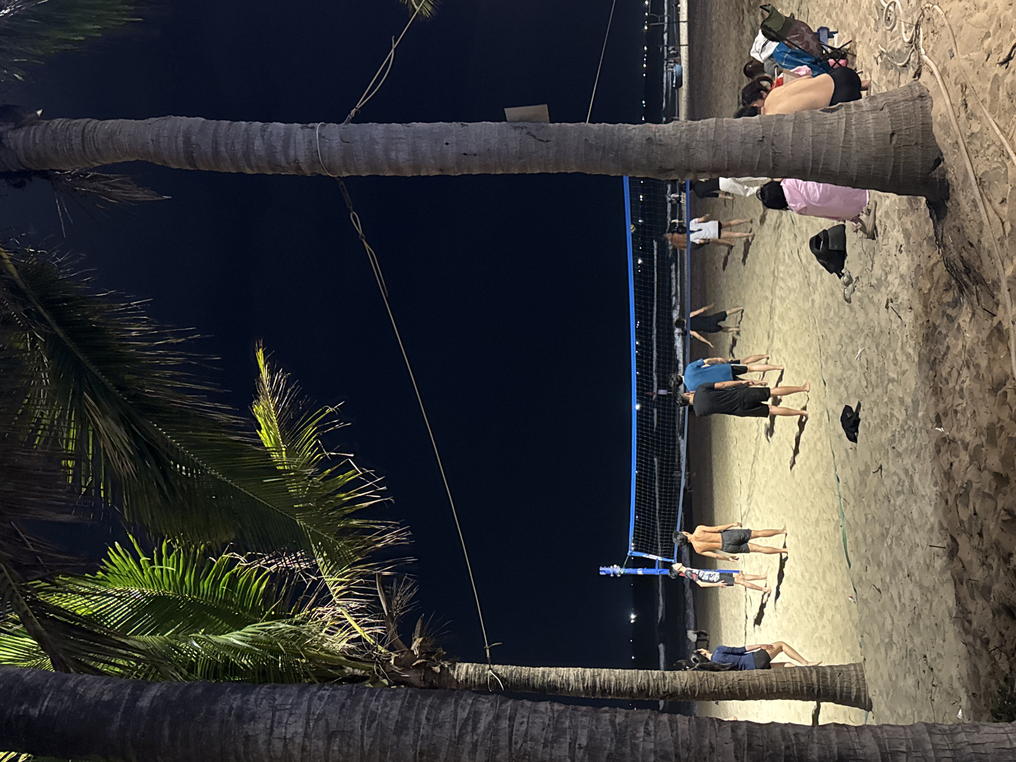 The image captures a vibrant night scene on a beach in Đà Nẵng, Vietnam. Thick palm tree trunks frame the left and right sides of the photograph, their textured barks prominent. Lush green palm fronds, illuminated by artificial light, stand out against the dark night sky on the left.
In the midground, a beach volleyball court is set up on the sand, marked by a bright blue net and poles. Approximately six to eight people are visible on and around the court, engaged in a game or practice. They are dressed in casual attire such as shorts and t-shirts. Beyond the active players, several other individuals are scattered across the sandy area, relaxing or observing. One person in a pink top sits on the sand with a bag nearby, while another individual lies prone at the base of a palm tree on the far right. Personal items like bags and a coiled white rope are visible on the sand.
The scene is entirely illuminated by artificial lights, which cast bright glows on the sandy court and the people, creating strong contrasts with the dark background. The sky is dark, confirming it is nighttime. In the distant background, faint lights suggest the presence of a coastline or city across the dark water. No discernible text is visible in the image. The overall atmosphere appears recreational and relaxed.