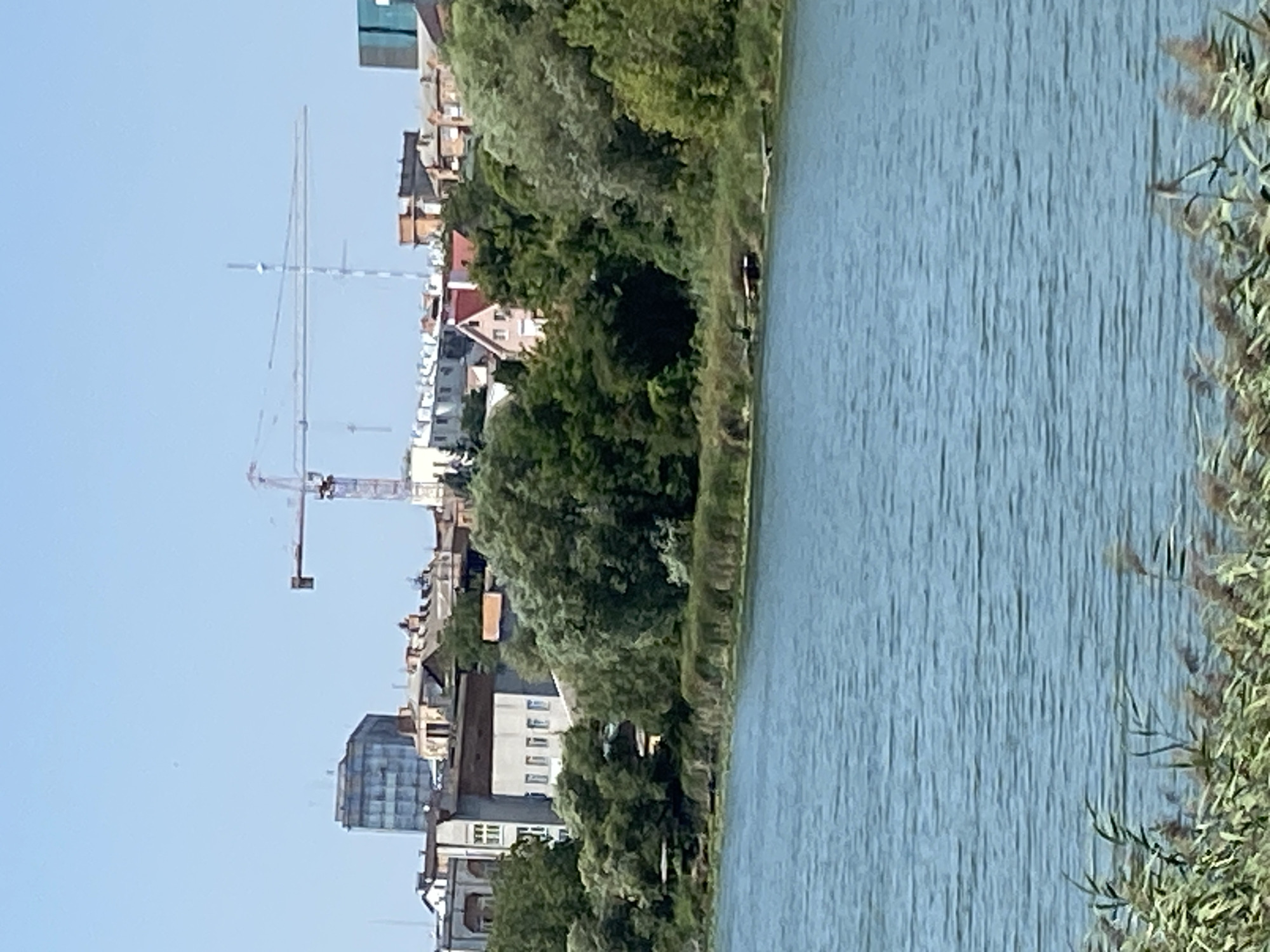 The image depicts a waterfront scene in Vinnytsia, Ukraine, likely during the daytime. In the foreground, a body of water, possibly a river or lake, is visible, with reeds and tall grasses growing along its edge. The water has a rippled texture and a blue-green hue.
In the middle ground, the lush green foliage of trees lines the bank. Behind the trees, the cityscape of Vinnytsia is visible. Several buildings of varying architectural styles and heights are present, including a taller, modern-looking building with a glass facade, and older structures with tiled roofs. A prominent feature of the skyline is a construction crane, indicating ongoing development or renovation in the area. There is also a tall antenna or communication tower in the background.
The sky is clear and blue, suggesting fair weather. There are no people clearly visible in the image. The overall impression is one of urban development juxtaposed with natural elements along the waterfront.