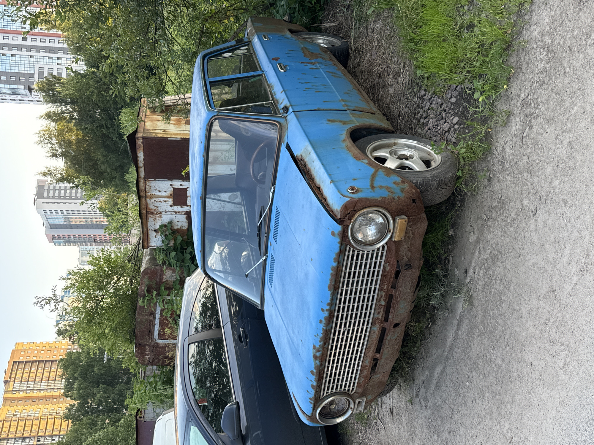 In Pargolovo, Russia, a weathered, sky-blue sedan with significant rust damage is parked on a dirt and gravel surface adjacent to lush green foliage and overgrown bushes. The car, a classic model, has a faded blue paint job with large patches of rust, particularly around the front grille, bumper, hood, and along the side panels. The chrome grille and headlights are also visibly corroded. The car's tires are somewhat deflated, and it appears to be stationary. In the background, modern high-rise apartment buildings dominate the skyline, contrasting sharply with the dilapidated state of the automobile and the presence of old, rusty metal structures, possibly garages or sheds, partially obscured by greenery. Another dark-colored car is parked to the left of the blue sedan. The lighting suggests it is late afternoon or early evening, with the sun casting a warm glow on the scene. There are no people visible in the image.