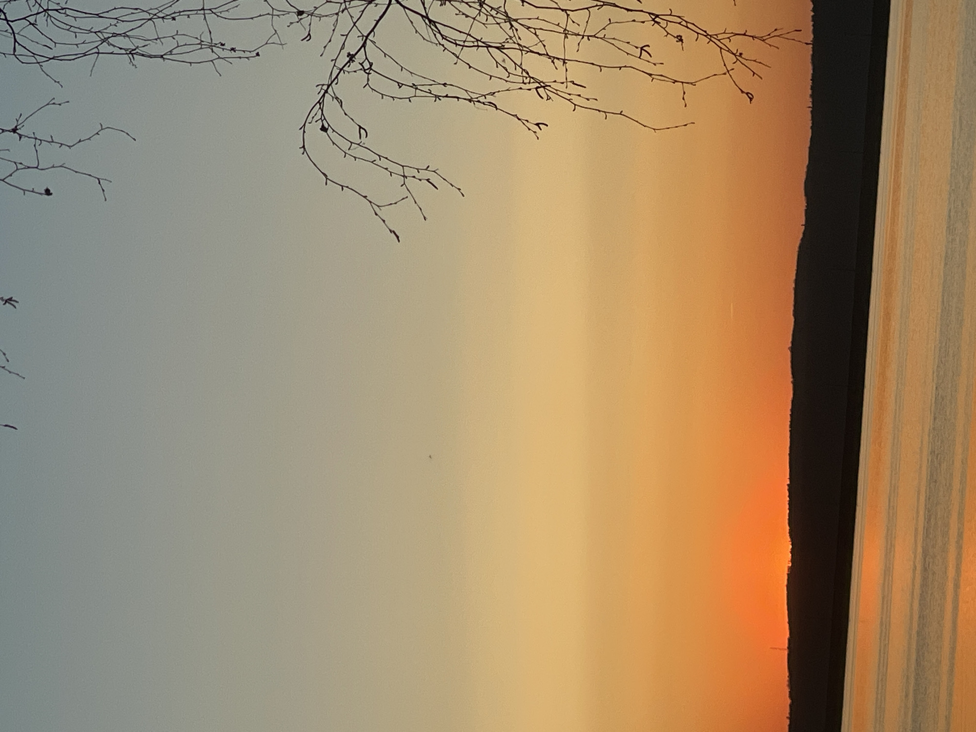 The image captures a sunset over a body of water, likely a river or lake, with a shoreline silhouette in the background. The sky transitions from a pale blue-gray to orange and yellow hues, characteristic of a sunset. Bare tree branches are silhouetted in the foreground, adding depth to the scene. Reflective light shimmers on the water's surface. The location is Chaikovsky, Russia.