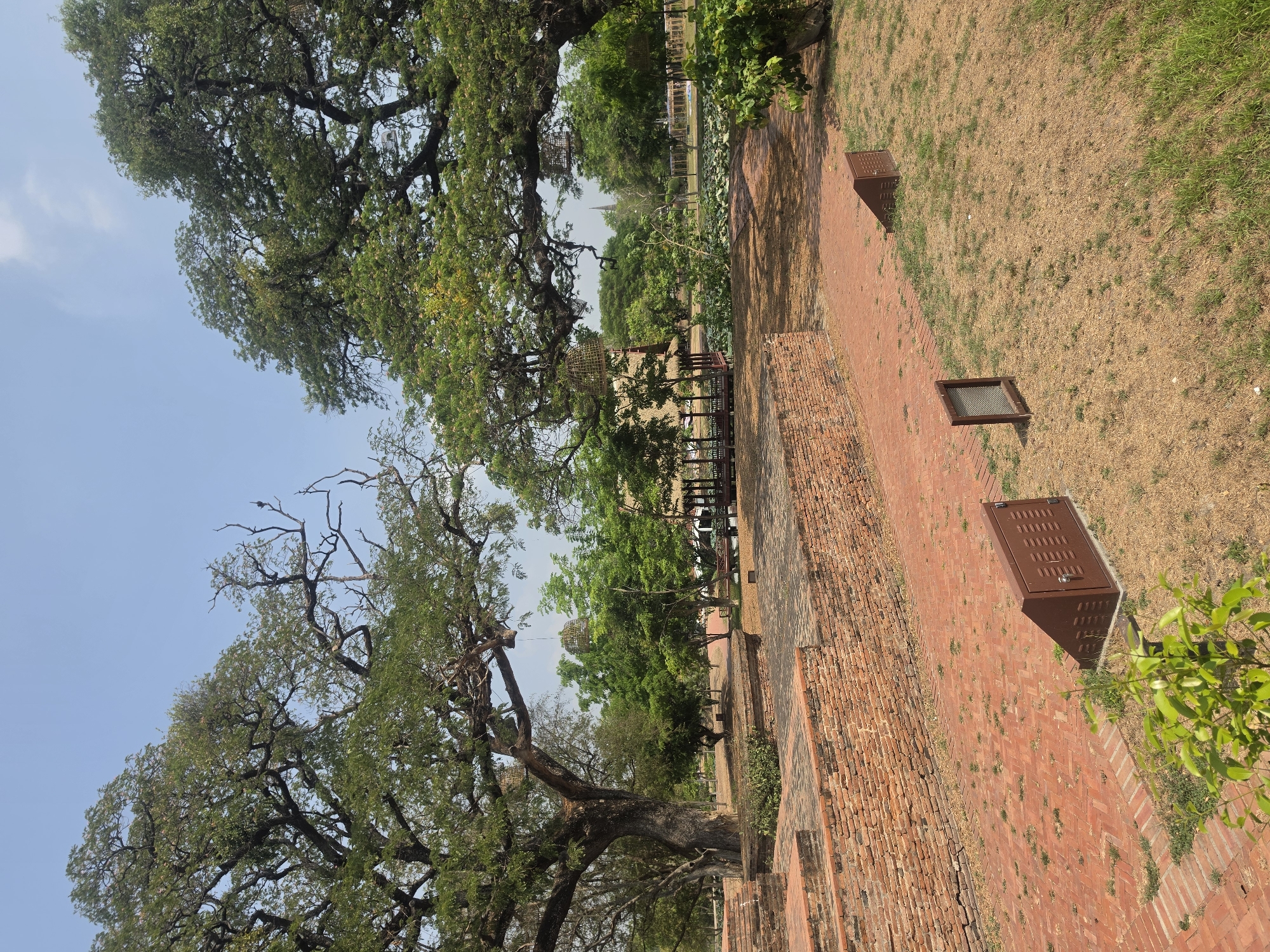 The image shows a path bordered by a low brick wall and large trees in the Historic City of Ayutthaya, Thailand. The path leads towards an area with structures that appear to be part of an ancient temple or ruin. The sky is a clear blue. The path is made of reddish-brown bricks. There are metal access points along the path. To one side of the path, the ground is covered with a mix of dry grass and green patches. Large trees with extensive branches frame the view.