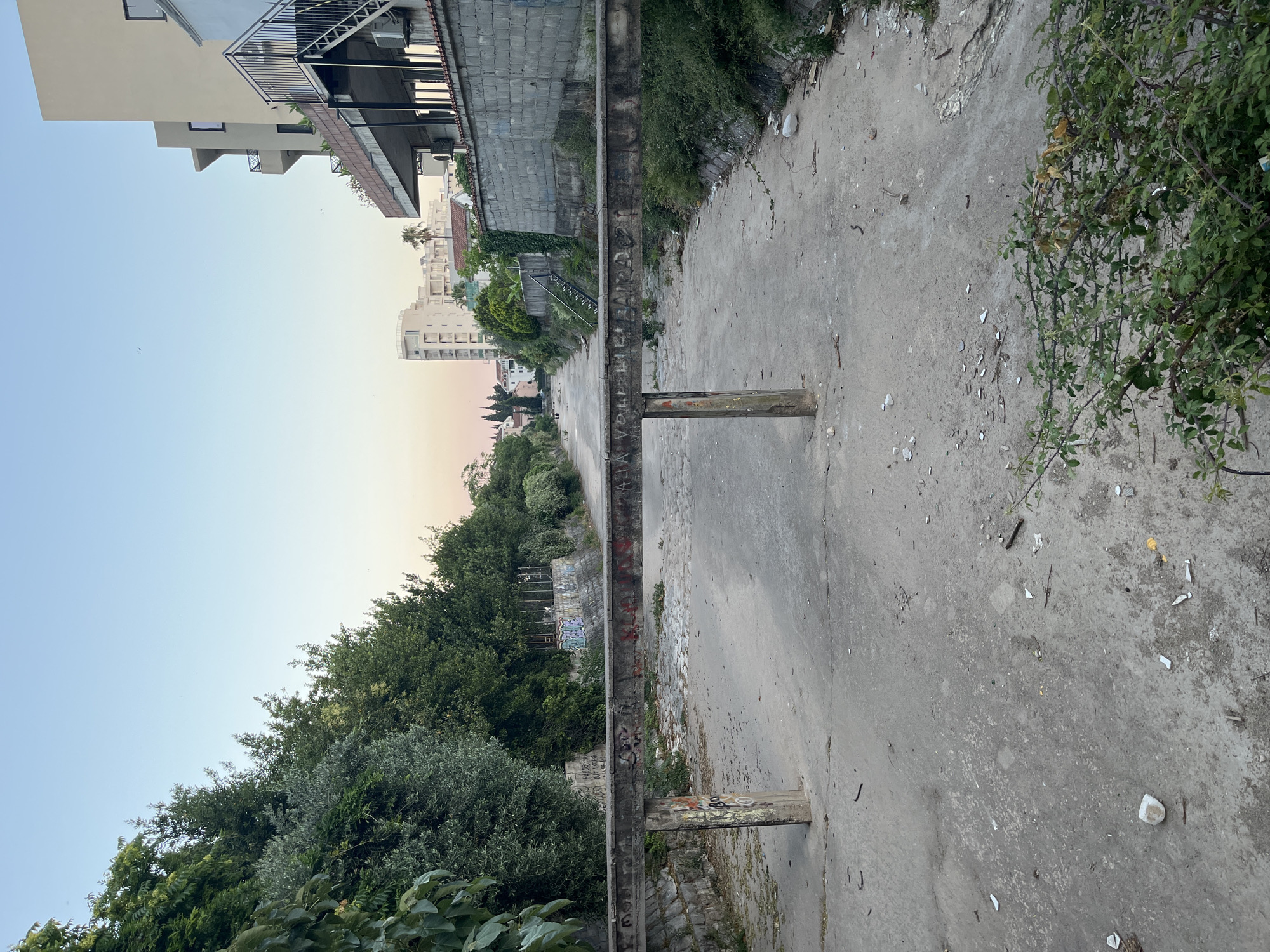 The image depicts an outdoor scene, likely a dried-up concrete channel or a drainage ditch, in Budva, Montenegro. The perspective is from above, looking down into the channel. The channel floor is a rough, grey concrete surface, littered with debris, including white fragments, sticks, and some yellow and blue bits. Overgrown green vegetation flanks the right side of the channel, with thorny branches reaching into the concrete space.
On the left side of the channel, a concrete wall is visible, lined with dense green trees and bushes. Graffiti in various colors adorns sections of this wall and also appears on the concrete structure running lengthwise through the center of the channel. This central structure is a weathered concrete beam supported by pillars.
Beyond the vegetation on the left, buildings are visible. These appear to be multi-story residential or commercial structures, with a lighter colored building in the foreground and more urban structures in the background. The sky above is clear and light blue, transitioning to a soft yellow and pink hue near the horizon, suggesting either dawn or dusk. The overall mood is somewhat desolate due to the litter and the appearance of the channel, but the greenery and the soft sky offer a touch of natural beauty. No people are clearly visible. The overall impression is of an urban environment with elements of neglect and overgrowth.