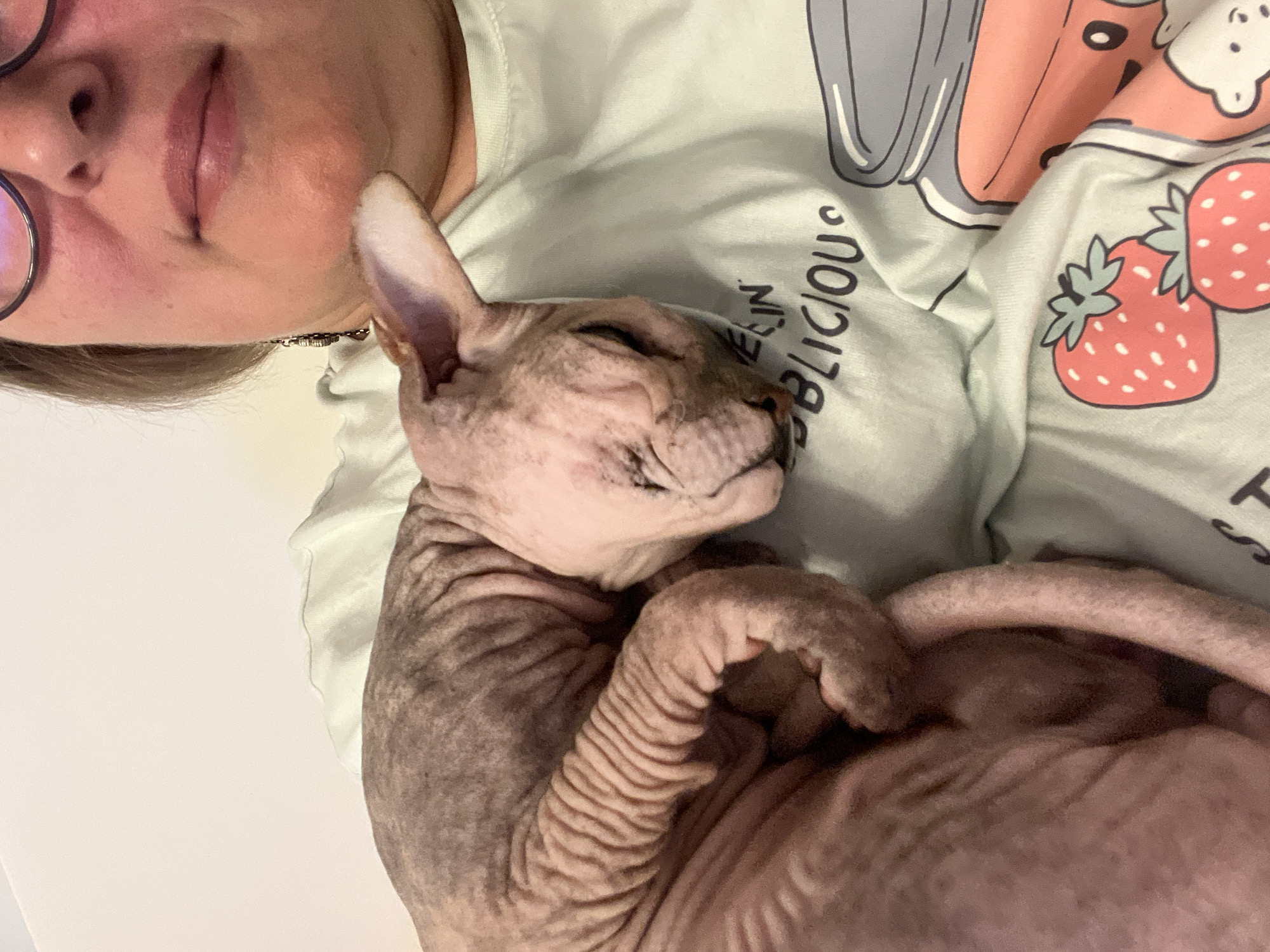 A close-up, eye-level shot shows a person holding a Sphynx cat. The cat is curled up on the person's chest, facing left, with its eyes closed. The cat's skin is wrinkled, and it has pinkish-grey coloring. The person is wearing a light blue t-shirt with a graphic print of strawberries and a jar. The person's face is visible from the nose up, and they are wearing glasses. The background is a plain, light-colored wall. There is no specific indication of the location within Korolyov, Russia.
