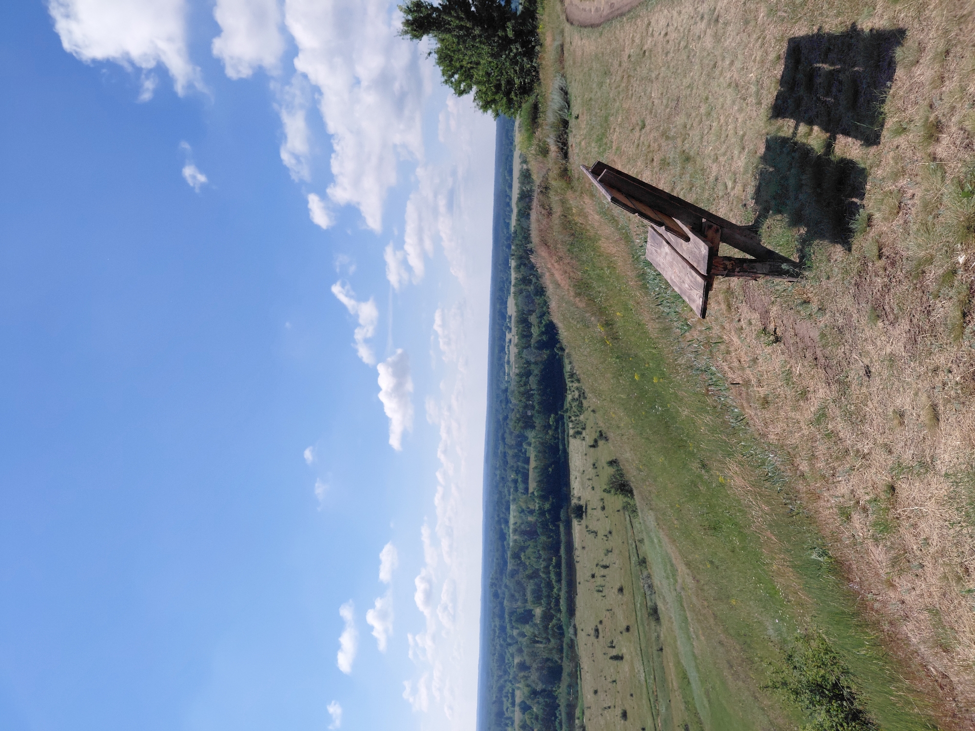 An outdoor landscape scene shows a wooden bench positioned on a grassy hill overlooking a valley filled with trees. The sky is blue with scattered white clouds. The bench is made of weathered wood and is casting a shadow on the dry grass. In the distance, a vast expanse of green trees stretches towards the horizon. A dirt path curves to the right of the bench. The image is taken from a slightly elevated perspective.