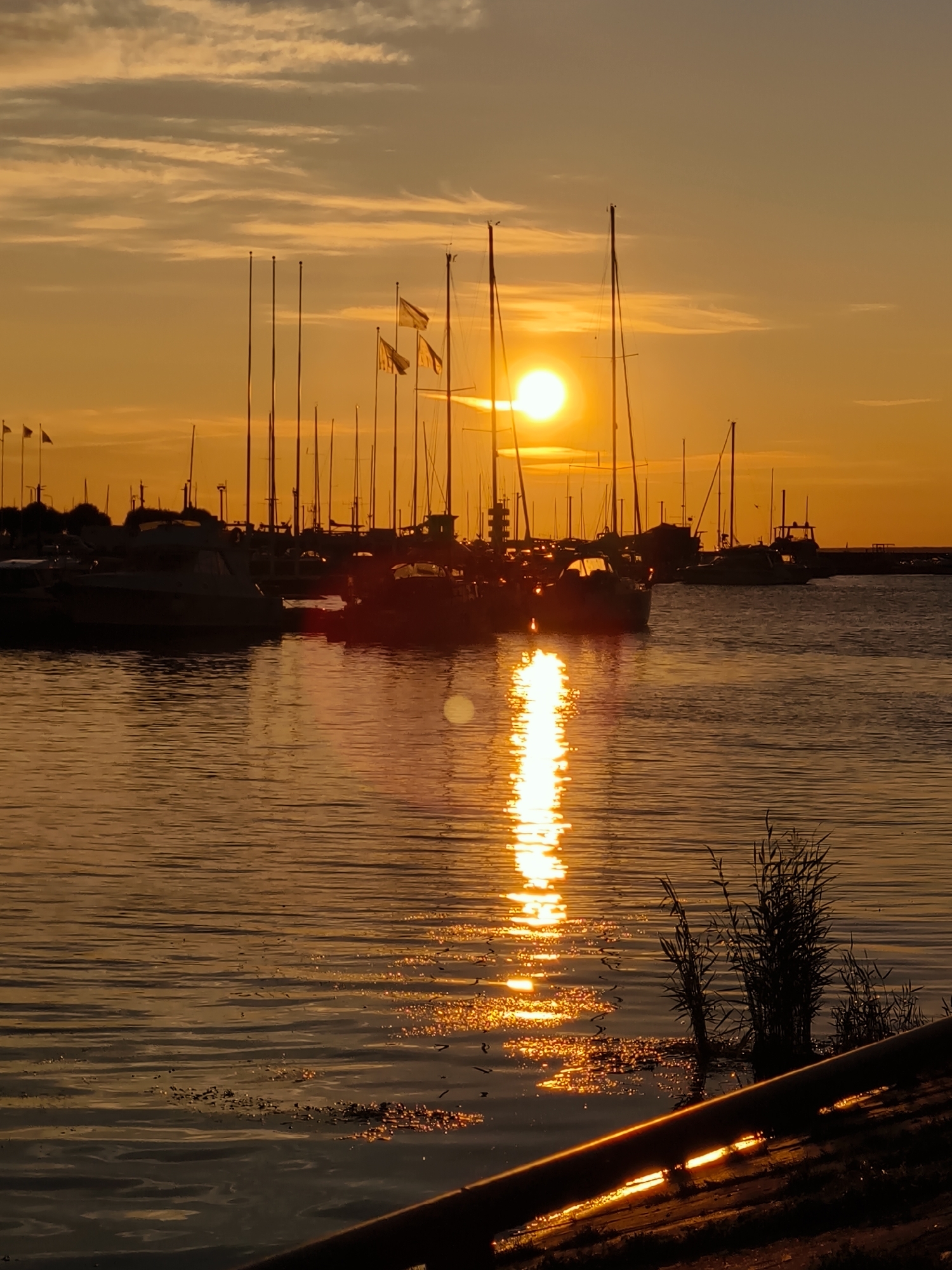 This is a vertical, medium shot photograph of a marina in Tallinn, Estonia, during sunset. The sun, a bright, glowing orb, is positioned in the upper middle of the frame, casting a warm, golden light across the scene. Its reflection shimmers on the rippling water, creating a bright, elongated streak of light. Numerous sailboats and motorboats are docked in the marina, silhouetted against the vibrant orange and yellow sky. Their masts are tall and thin, and some are adorned with flags. The water is calm, with gentle waves creating subtle textures on its surface. In the foreground, a dark, angled object, possibly a wooden railing or embankment, runs diagonally across the bottom of the frame. Some reeds or tall grass are visible on the right side, partially submerged in the water. The sky is filled with wispy clouds, also illuminated by the sunset. The overall impression is one of tranquility and natural beauty, with the marina setting providing a picturesque backdrop to the stunning sunset.