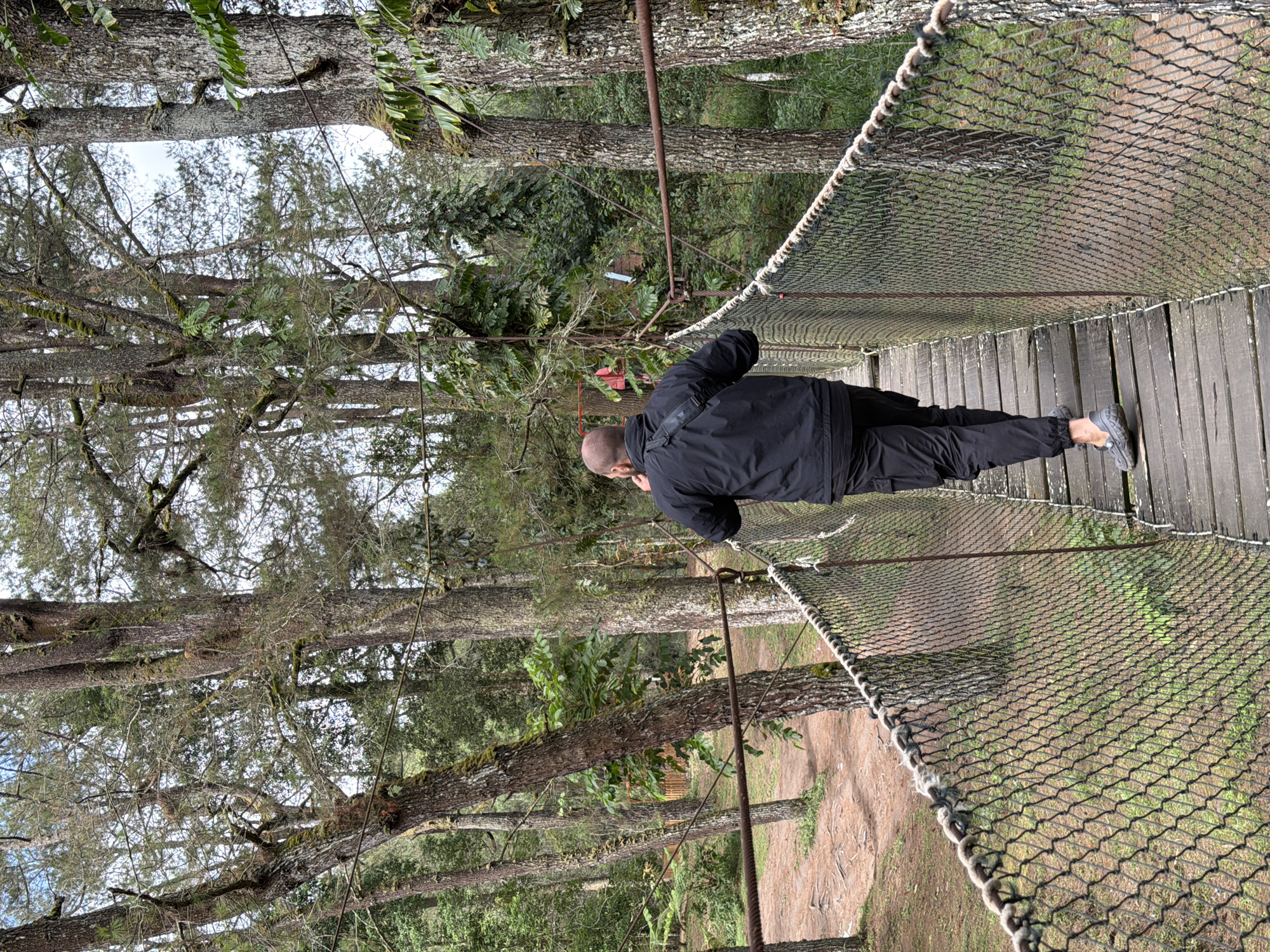 In Kintamani, Indonesia, a man walks across a suspension bridge. He is seen from behind, wearing a black jacket, black pants, and grey shoes. The bridge is constructed with wooden planks for the walkway and a wire mesh fence with rope railings for safety. The surrounding environment is a dense forest with tall trees, some covered in moss and vines. The ground beneath the bridge appears to be dirt with scattered leaves. The sky is overcast.