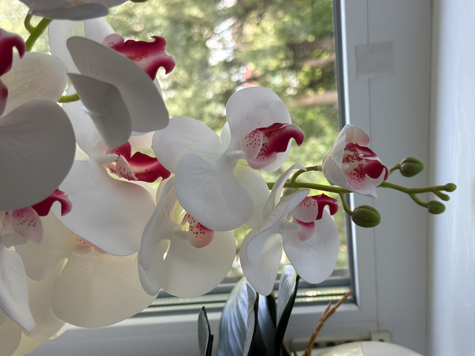A close-up, vertical, eye-level shot captures a cascade of white and pink orchids. The orchids are artificial, evident from their slightly waxy texture and uniform coloring. They hang from a thin stem, with several blooms in various stages of opening and two green buds visible at the bottom. The background is a softly blurred green and brown, suggesting foliage seen through a window, with a white windowsill in the foreground. The lighting is natural, coming from the window, and casts gentle shadows on the petals. The location is not specified.