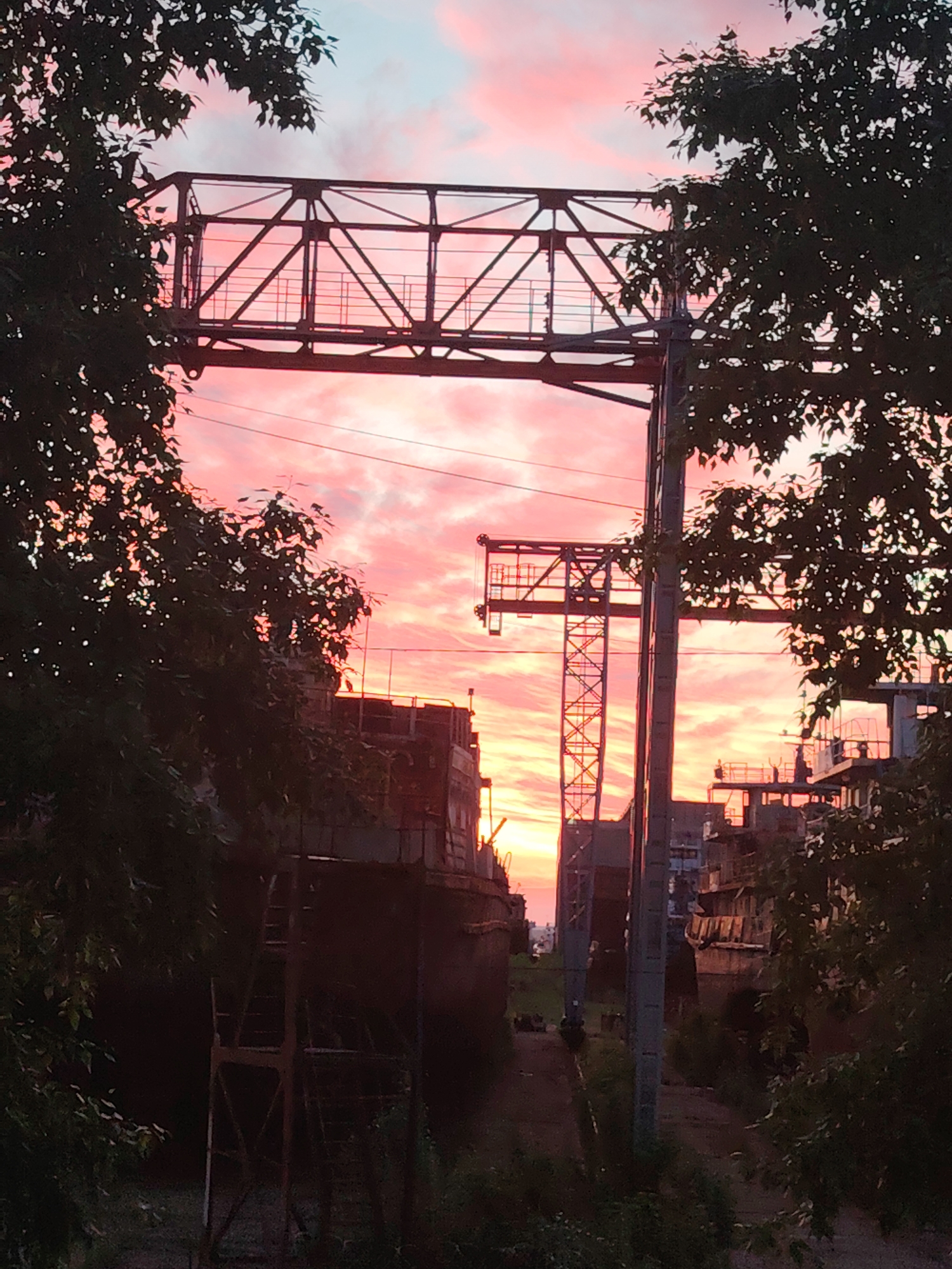 This photograph depicts an industrial landscape, likely a shipyard or dry dock in Chaikovsky, Russia, bathed in the dramatic light of either sunrise or sunset. The sky is a prominent feature, showcasing vibrant streaks and clouds of intense pink and orange, fading to a soft blue at the very top. This vivid sky backlights the entire scene, casting most of the foreground and midground elements into stark silhouette.
Dark, leafy tree branches and foliage frame the image from the top and sides, their intricate patterns contrasting sharply with the bright sky. In the midground, a large, intricate metal gantry or crane structure stretches horizontally across the upper half of the frame, its detailed lattice-work clearly visible against the colorful sky. To the right, a smaller, vertical crane or industrial tower stands tall.
Below these overhead structures, the dark, imposing forms of what appear to be large ship hulls or marine vessels are visible on both sides of a central, unpaved path or dry basin. Various other dark, vertical poles and smaller industrial structures are also present, contributing to the scene's industrial character. The lower foreground includes some overgrown vegetation and rough ground. The image evokes a serene yet powerful atmosphere, juxtaposing the heavy industry with the natural beauty of the sky. No visible text is present.