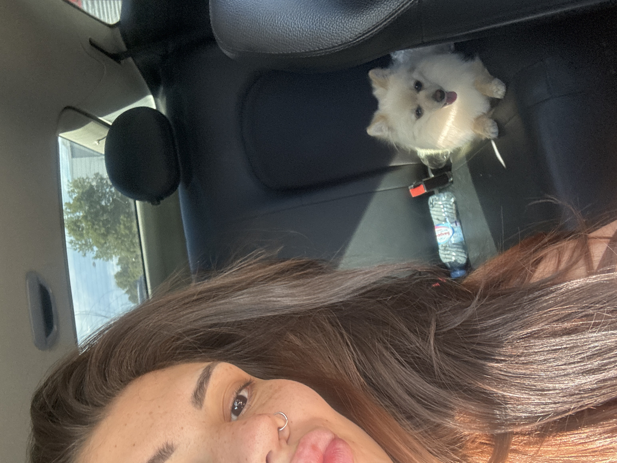 A selfie is taken from inside a car. The driver, a young woman with brown hair and freckles, is visible on the left side of the frame, sticking her tongue out playfully. A small, fluffy white dog sits on the back seat to the right. A bottle of water is placed on the seat between the woman and the dog. The background shows trees and a building, suggesting the car is parked or driving on a street. The image does not provide any specific information about the location in the city of Sofia, Bulgaria.