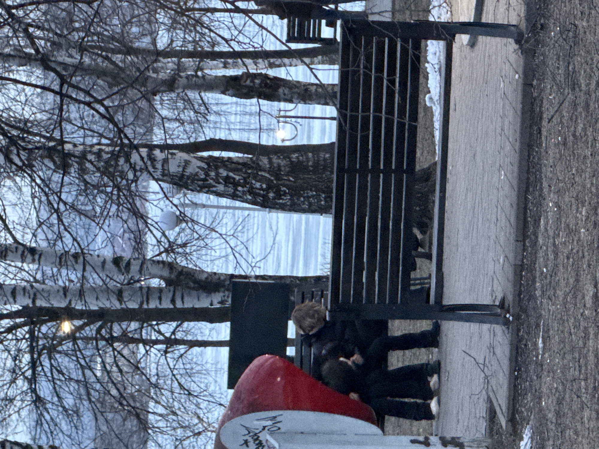 Two individuals are sitting on a park bench. The bench is located on a paved walkway, adjacent to birch trees and a body of water, possibly the Votkinsk Reservoir, in Votkinsk, Russia. One person is sitting on the bench while the other is sitting on an object that has been painted red and white.