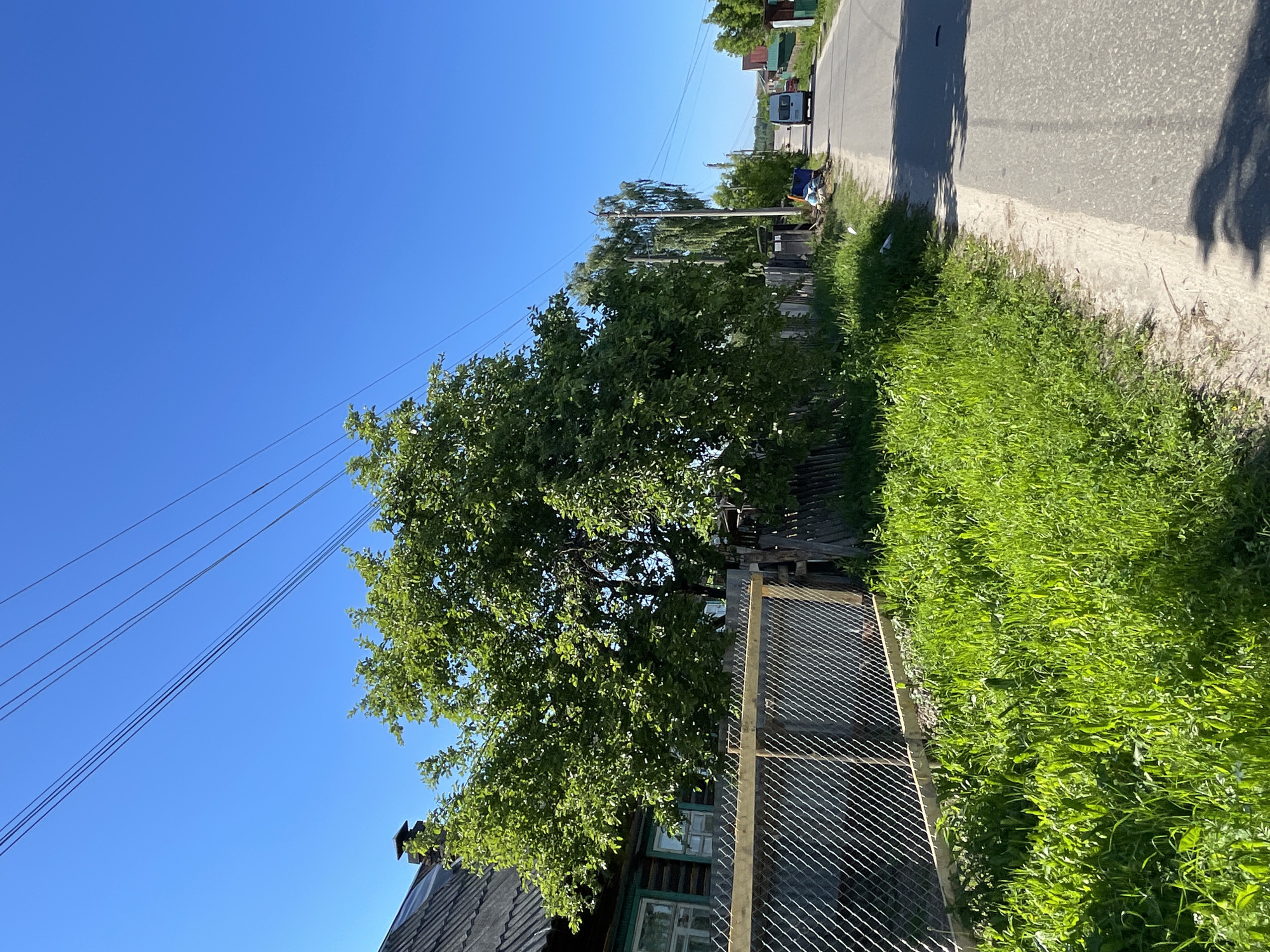 The image depicts a rural road scene in Krasnye Baki, Russia, under a clear blue sky. On the left side of the asphalt road, a chain-link fence borders a property with a traditional wooden house and a large, leafy tree. The house has a dark roof and green window frames. Tall, bright green grass grows along the roadside and extends to the fence. Beyond the tree, the fence continues and is made of wooden planks.
The road stretches into the distance, curving slightly to the right. A white van is visible driving away from the camera on the right side of the road. Further down the road, more trees and houses can be seen, with power lines running overhead throughout the scene. The overall impression is of a sunny day in a quiet, possibly residential area.