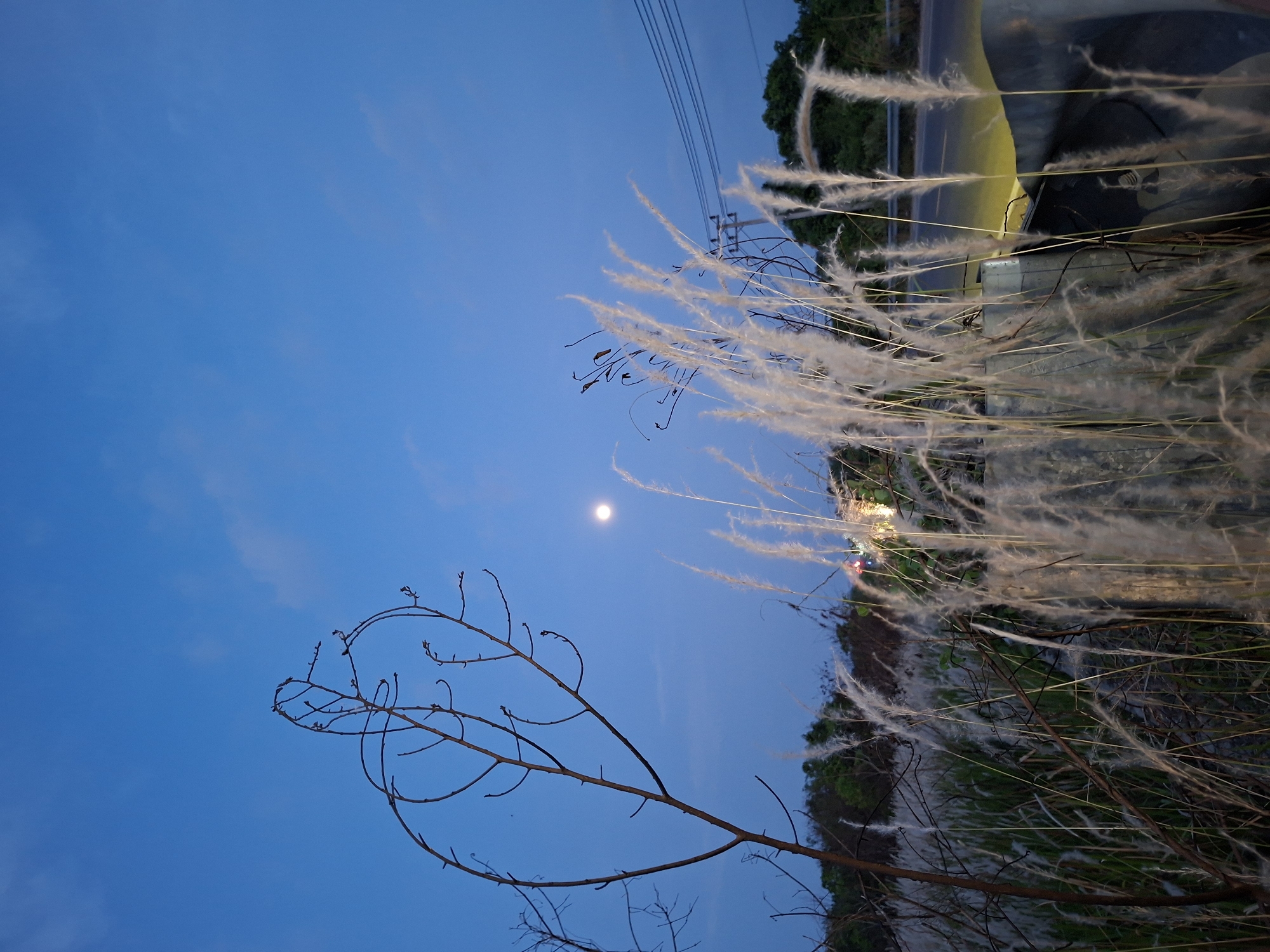 A tilted, eye-level shot captures a night scene with a blue sky. A small, bright moon is visible. In the foreground, a bare tree branch extends across the frame. White, feathery plants obscure the middle ground. Beyond the plants, a road curves, with green trees lining the edge. A street light illuminates a section of the road. In the distance, power lines stretch across the sky. This scene is located in Lhokseumawe, Indonesia.