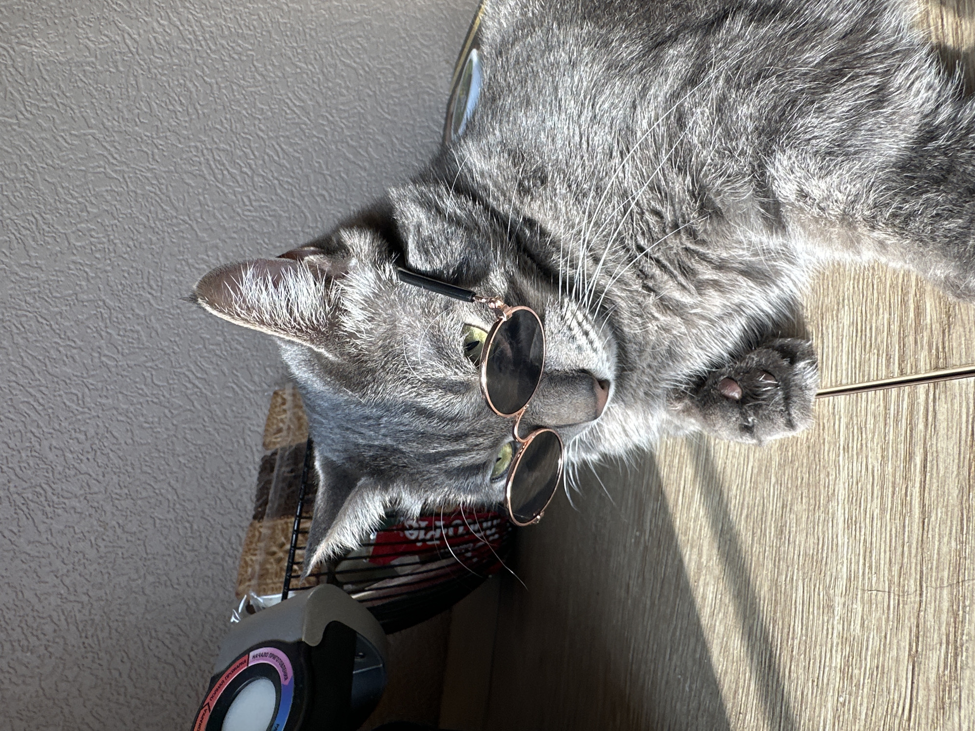 A gray tabby cat with green eyes is wearing round, rose-gold framed sunglasses. The cat is lying on a light-colored wooden surface, with its head near a dark, textured object with a multicolored circular design and a black and gray handle. The cat's paws are visible on the wooden surface. The background is a light gray wall with a textured surface. The location is likely indoors, but the city and country are not apparent from the visual information.