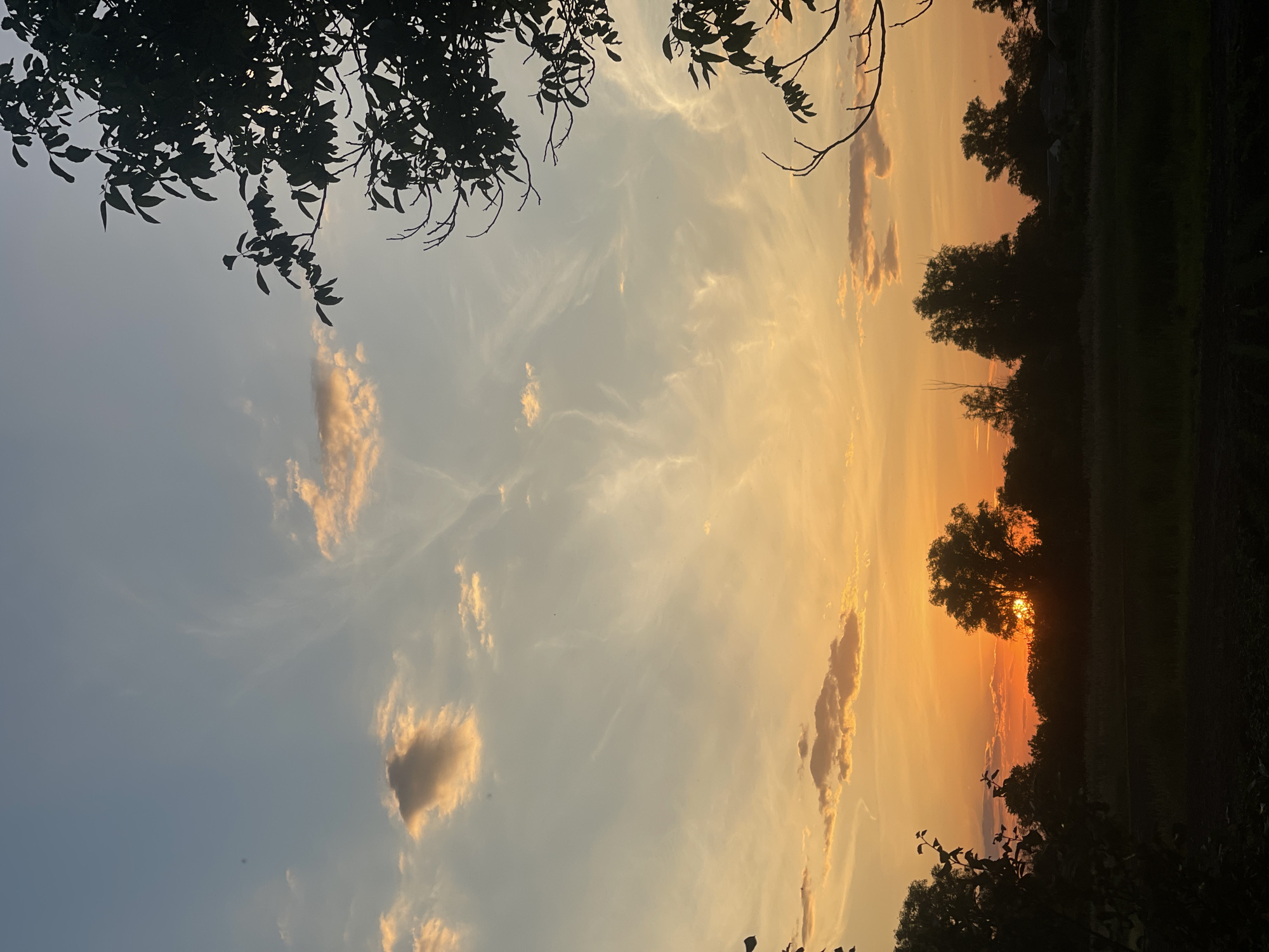 The image depicts a rural sunset scene located in Unknown, Unknown. The sky occupies the upper two-thirds of the vertical frame, exhibiting a gradual color transition from a pale blue-grey at the zenith to vibrant orange and yellow hues at the horizon. Scattered across the sky are various clouds: high, wispy cirrus clouds are visible throughout the upper and mid-sections, while lower, denser cumulus or stratocumulus clouds, illuminated from beneath by the setting sun, display shades of orange, peach, and grey, particularly in the mid-left and mid-right portions.
The sun, a distinct, bright orange-red orb, is positioned low on the horizon, slightly to the left of the vertical center. It is partially obscured by the dense, dark foliage of a large, silhouetted deciduous tree, with rays of light visible through and around its leaves.
A continuous line of dark, silhouetted deciduous trees forms the horizon, stretching across the lower portion of the image. Beyond this treeline, particularly towards the right side of the frame, faint, dark silhouettes of what appear to be several small, low-rise structures or houses are discernible against the fading light.
The foreground and midground consist of a dark, underexposed field or uncultivated land, showing minimal discernible detail due to the low light conditions, but suggesting an expanse of earth and low vegetation. Dark, silhouetted branches and leaves from unseen trees frame the image from the upper right corner, extending downwards along the right edge, and a smaller section of similar foliage appears in the lower left foreground. There are no individuals or discernible actions present in the scene.
