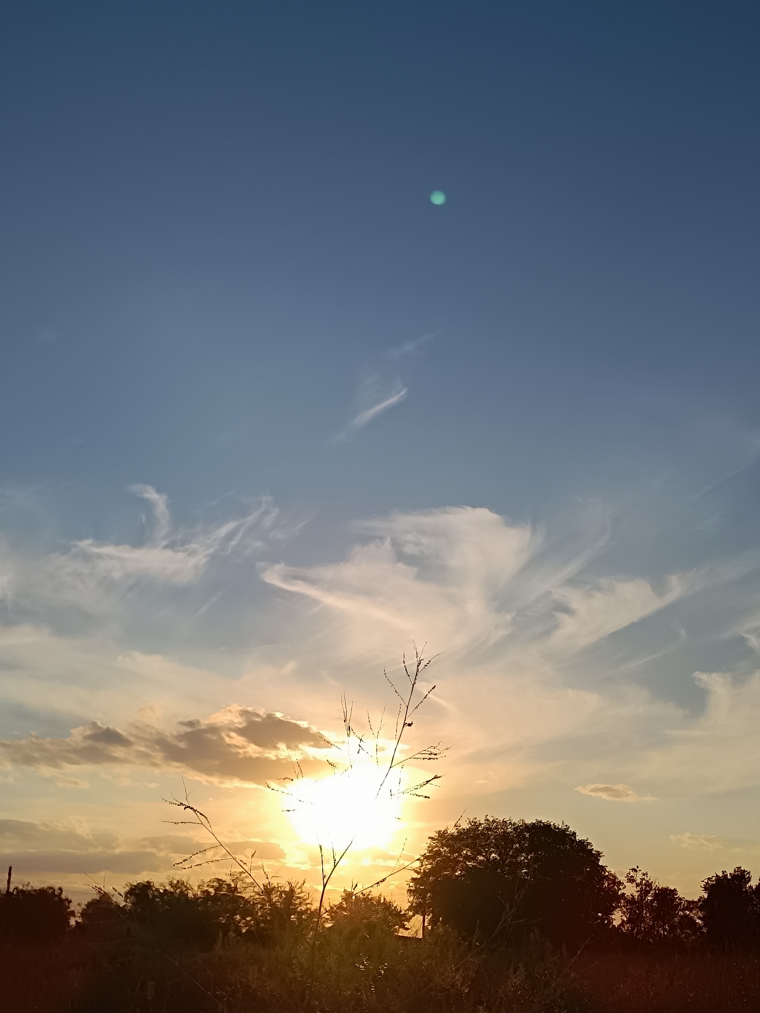 An outdoor, eye-level shot captures a sunset with wispy clouds and a bright sun peeking through. Silhouetted trees and vegetation form a dark line across the bottom of the frame. The sky transitions from a clear blue at the top to lighter shades of blue and yellow near the horizon. A small, greenish-blue circular object is visible in the upper right quadrant of the sky.